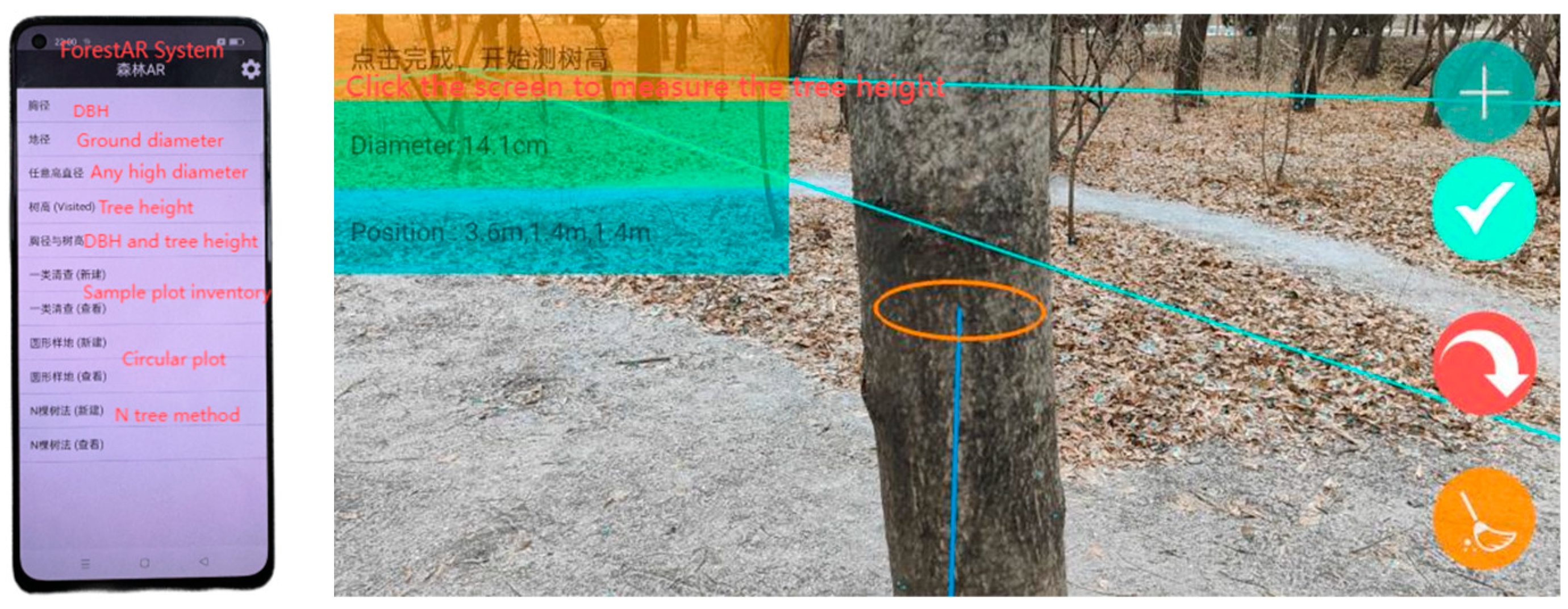 Forests 15 02083 g004