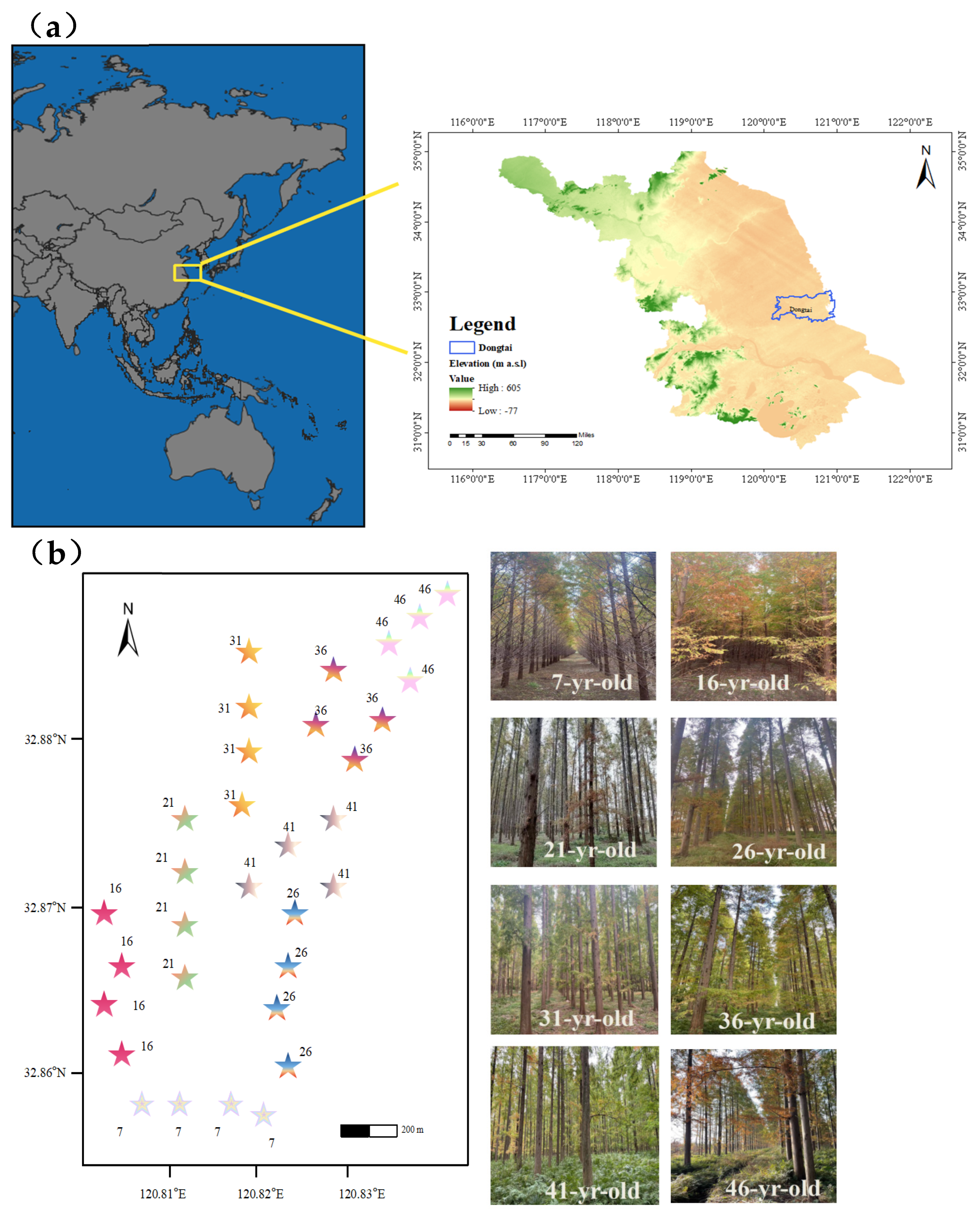 Forests 15 02096 g001