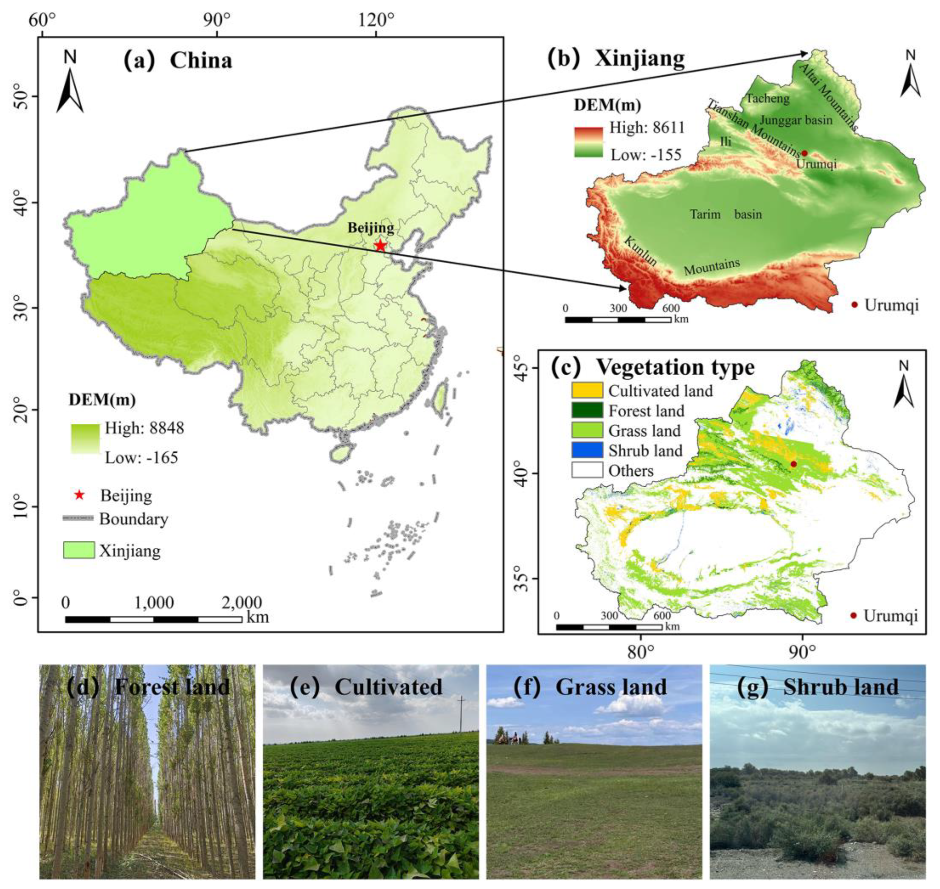 Forests 15 02100 g001