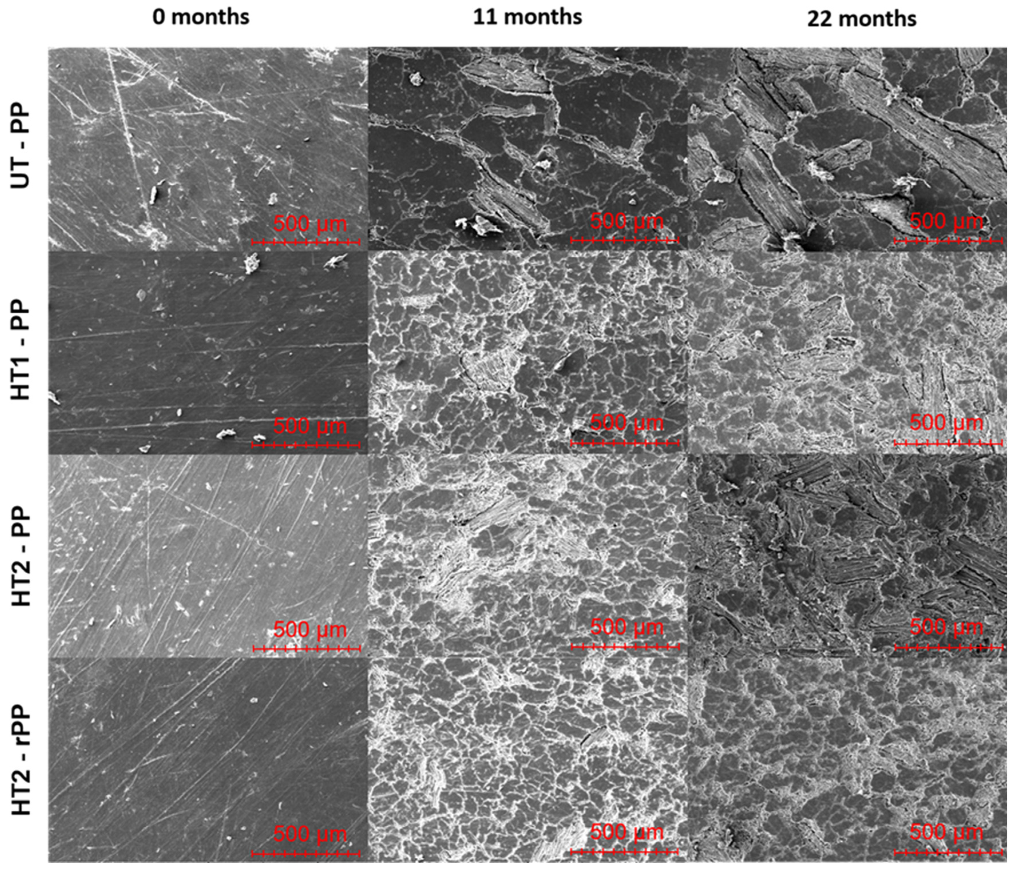 Forests 15 02102 g011 Forests 15 02102 g011