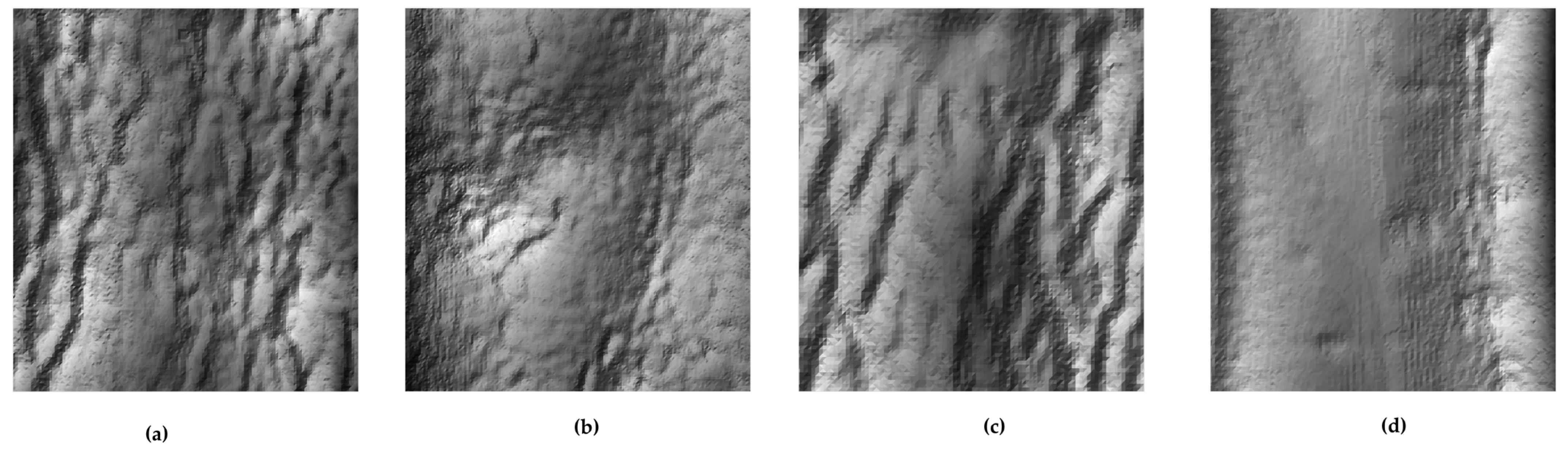 Forests 15 02110 g010