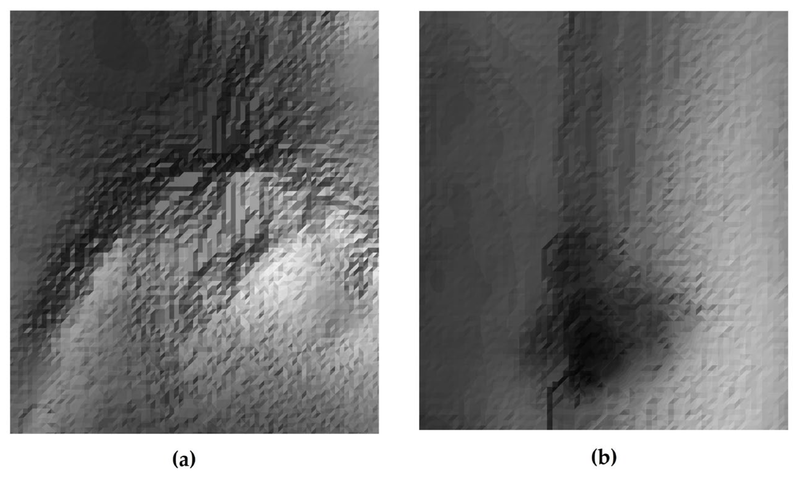 Forests 15 02110 g011