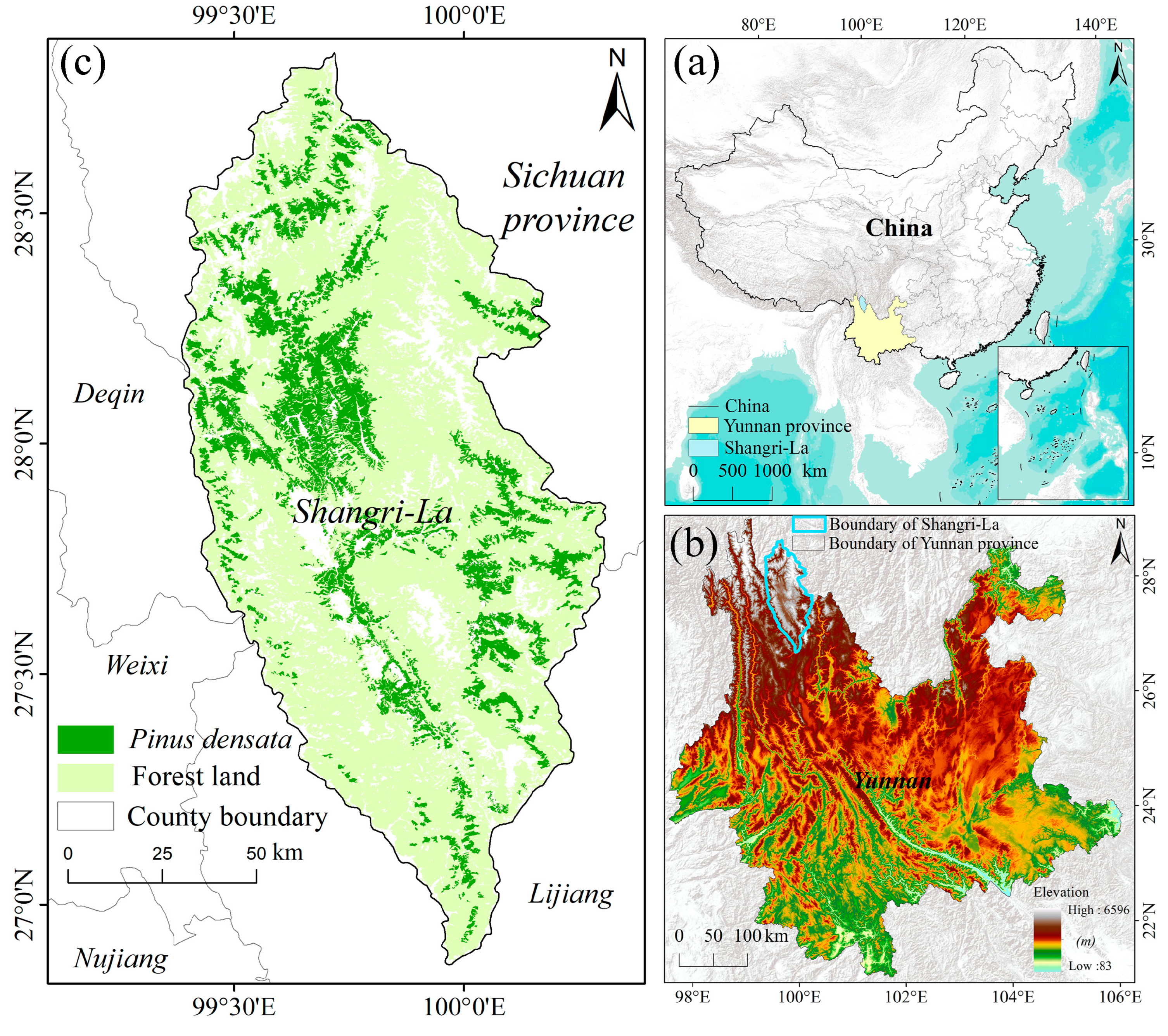 Forests 15 02111 g002