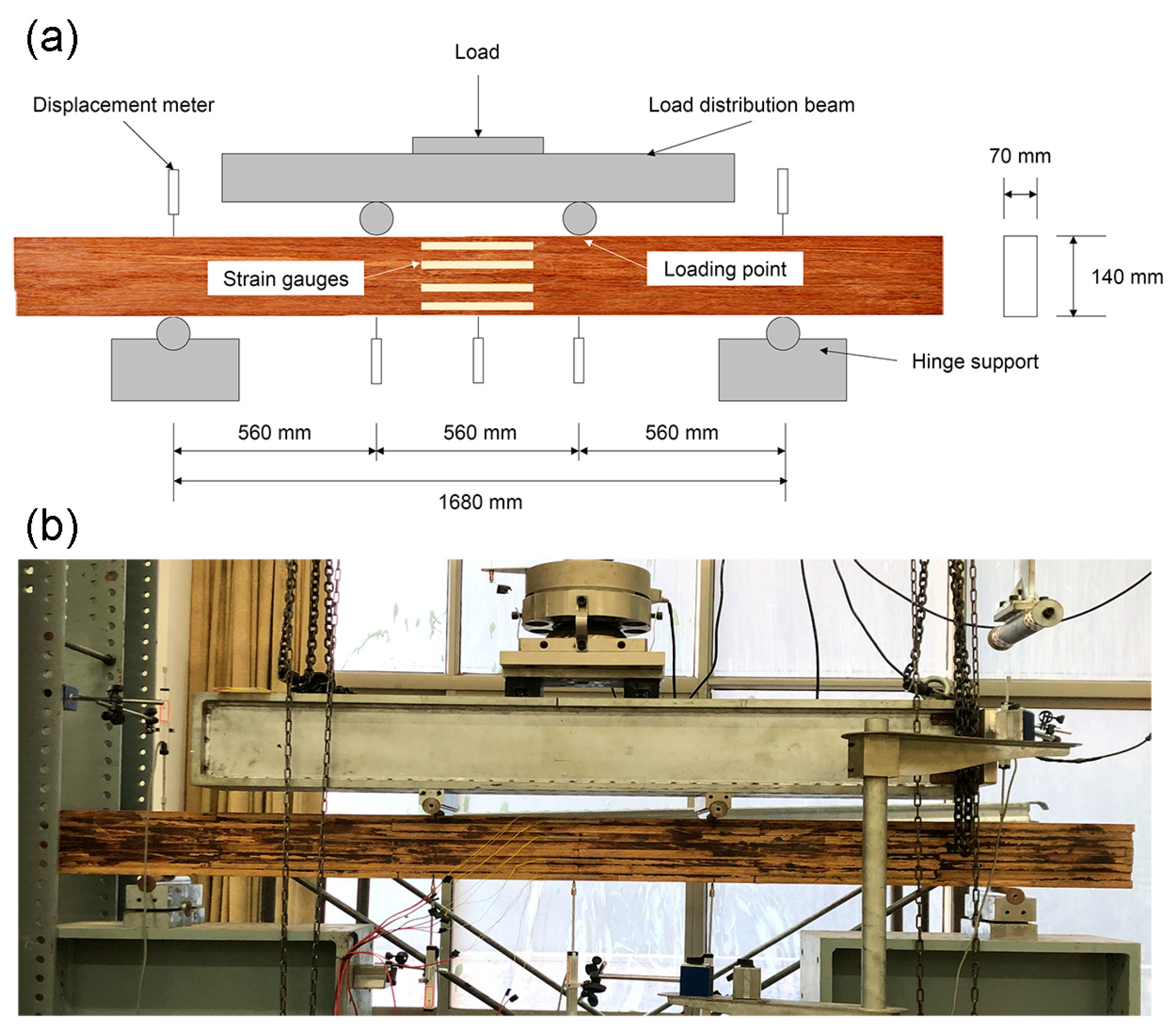 Forests 15 02116 g002 Forests 15 02116 g002