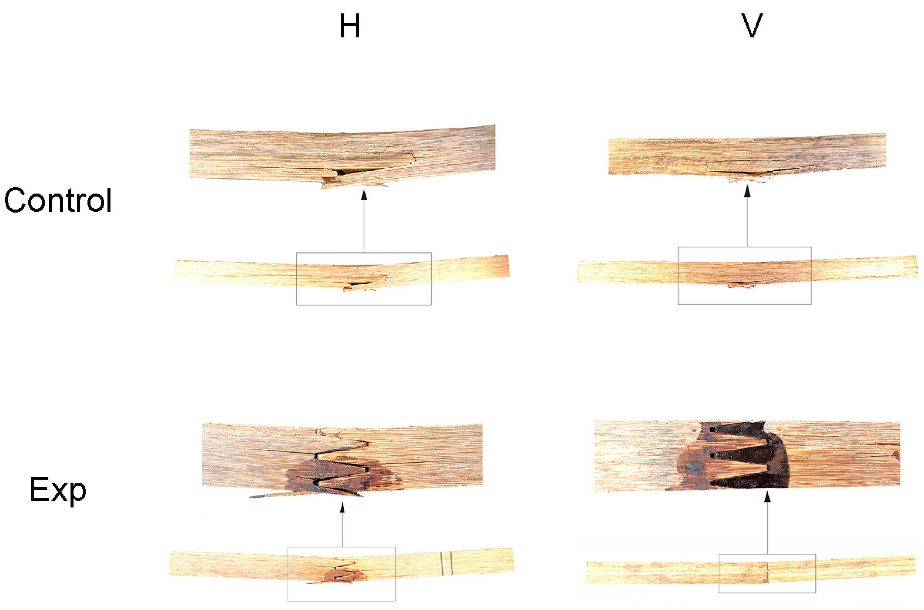 Forests 15 02116 g003 Forests 15 02116 g003