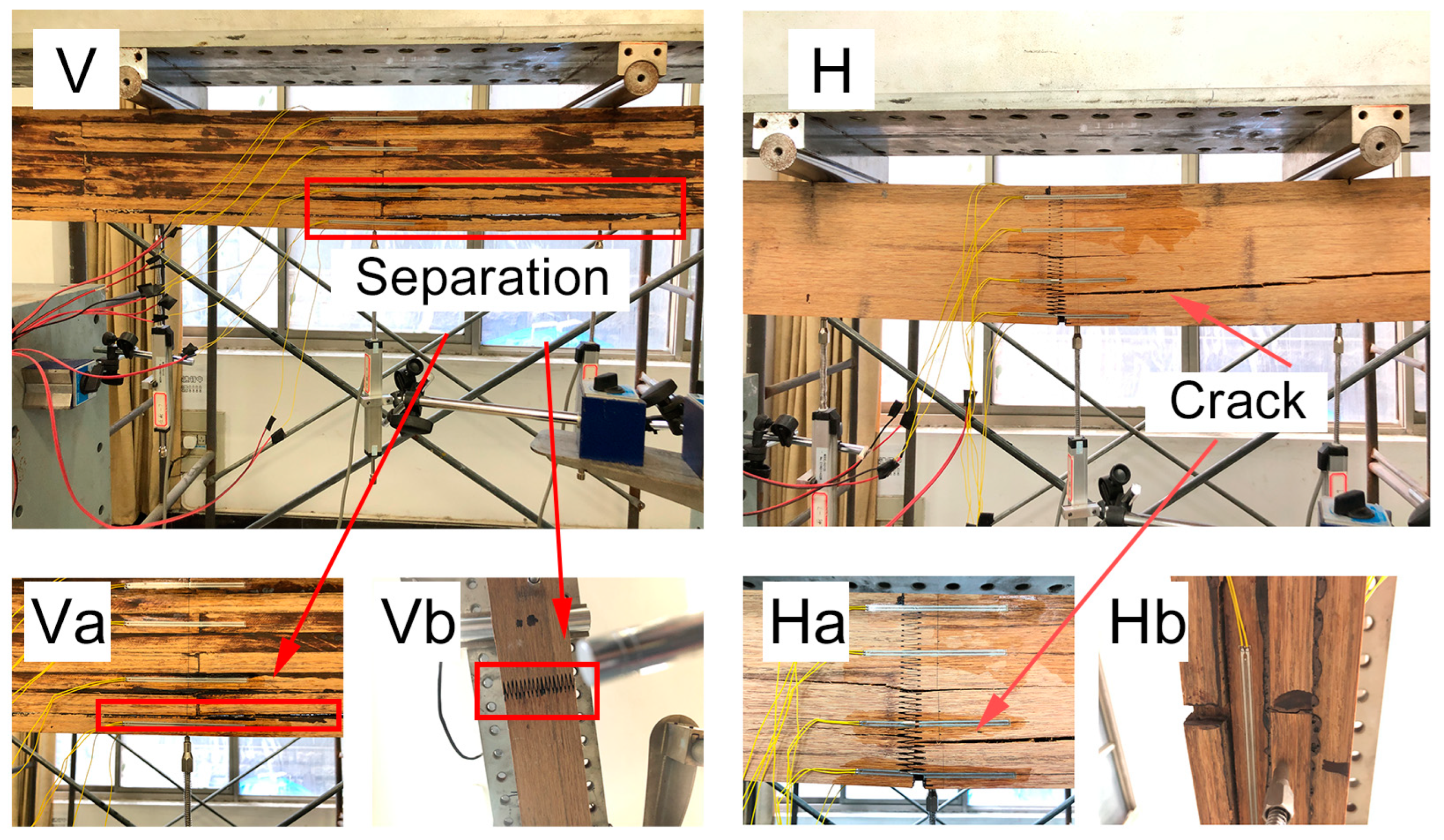 Forests 15 02116 g004 Forests 15 02116 g004