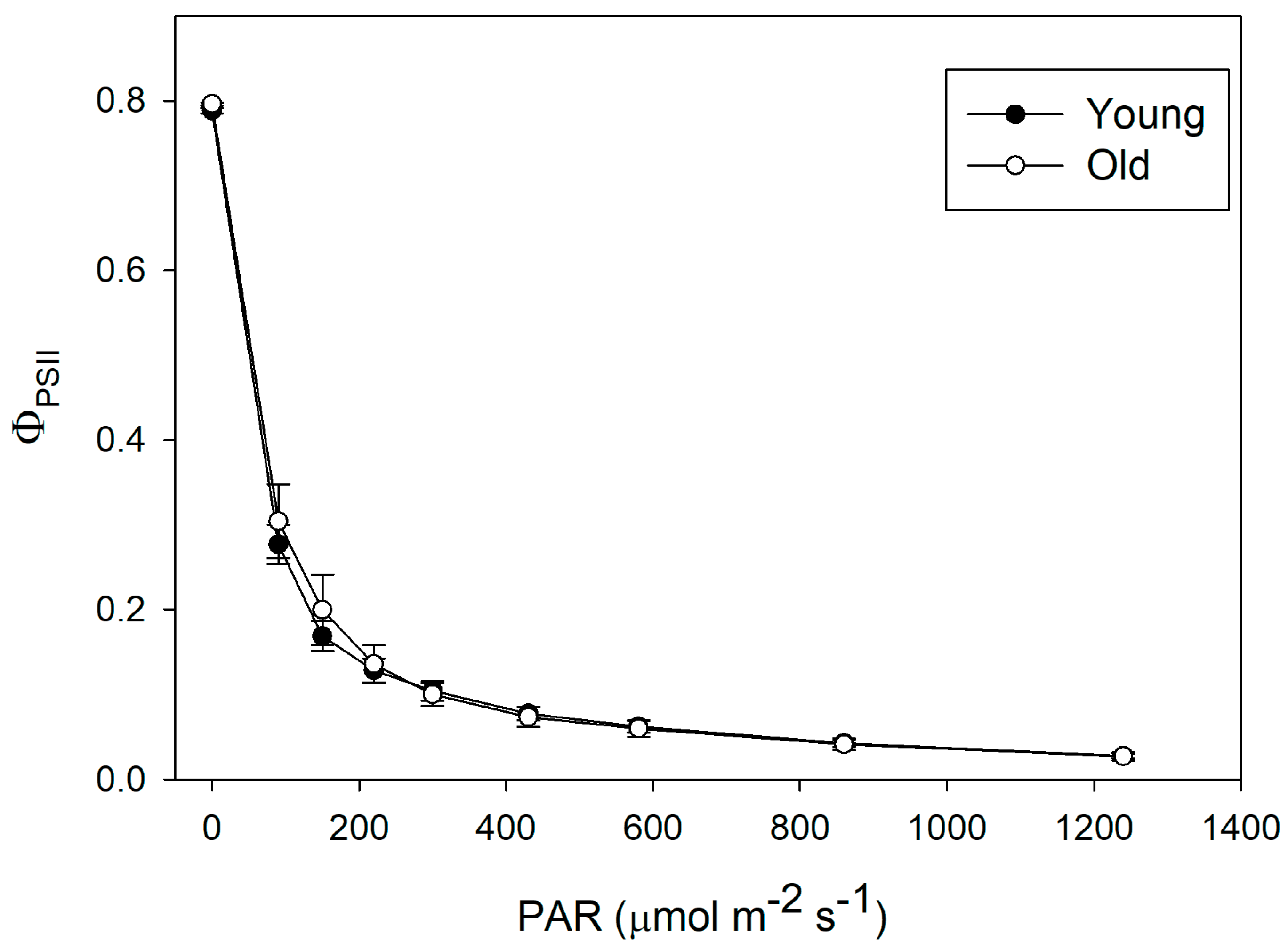 Forests 15 02118 g002 Forests 15 02118 g002