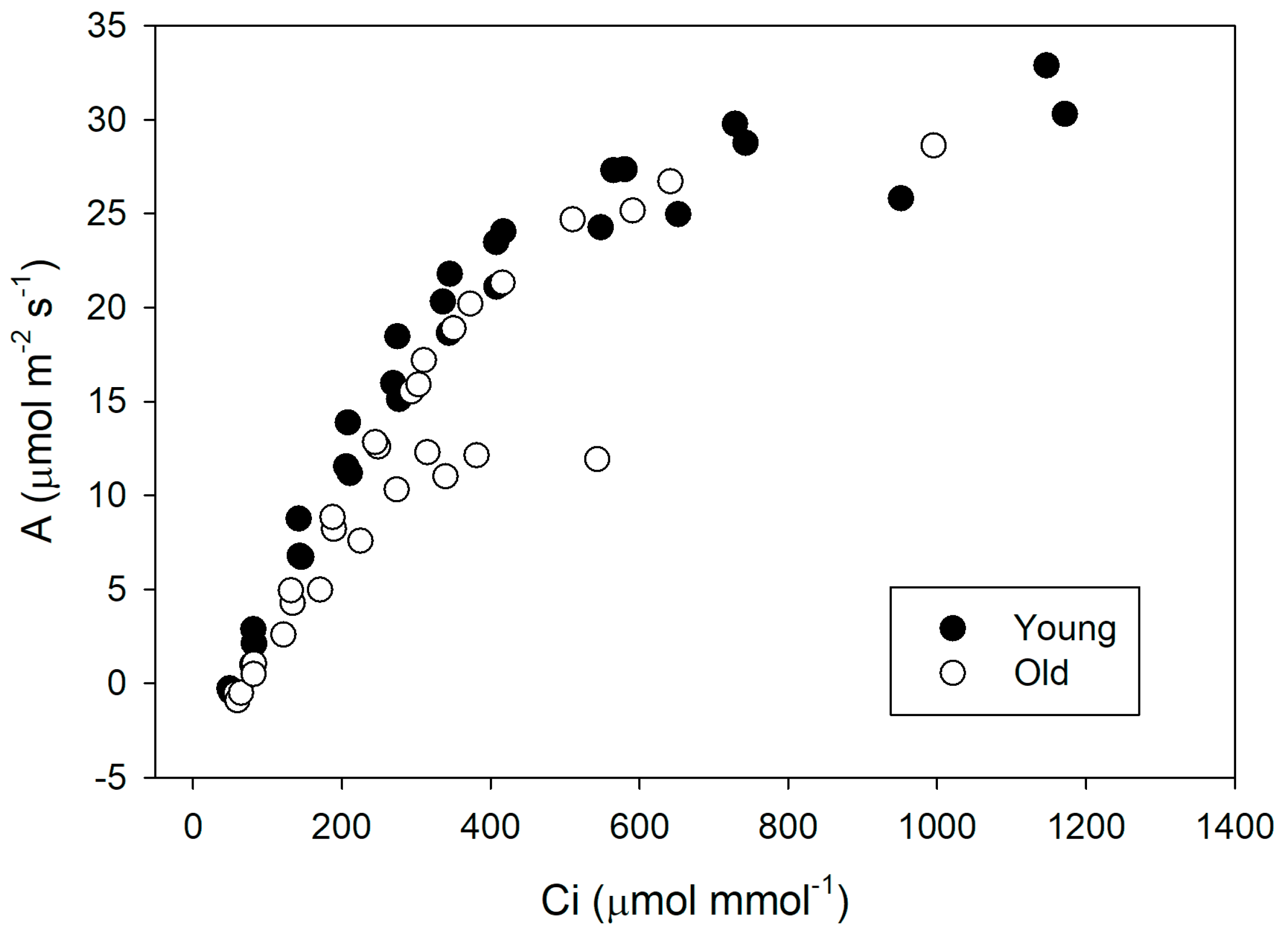 Forests 15 02118 g003 Forests 15 02118 g003