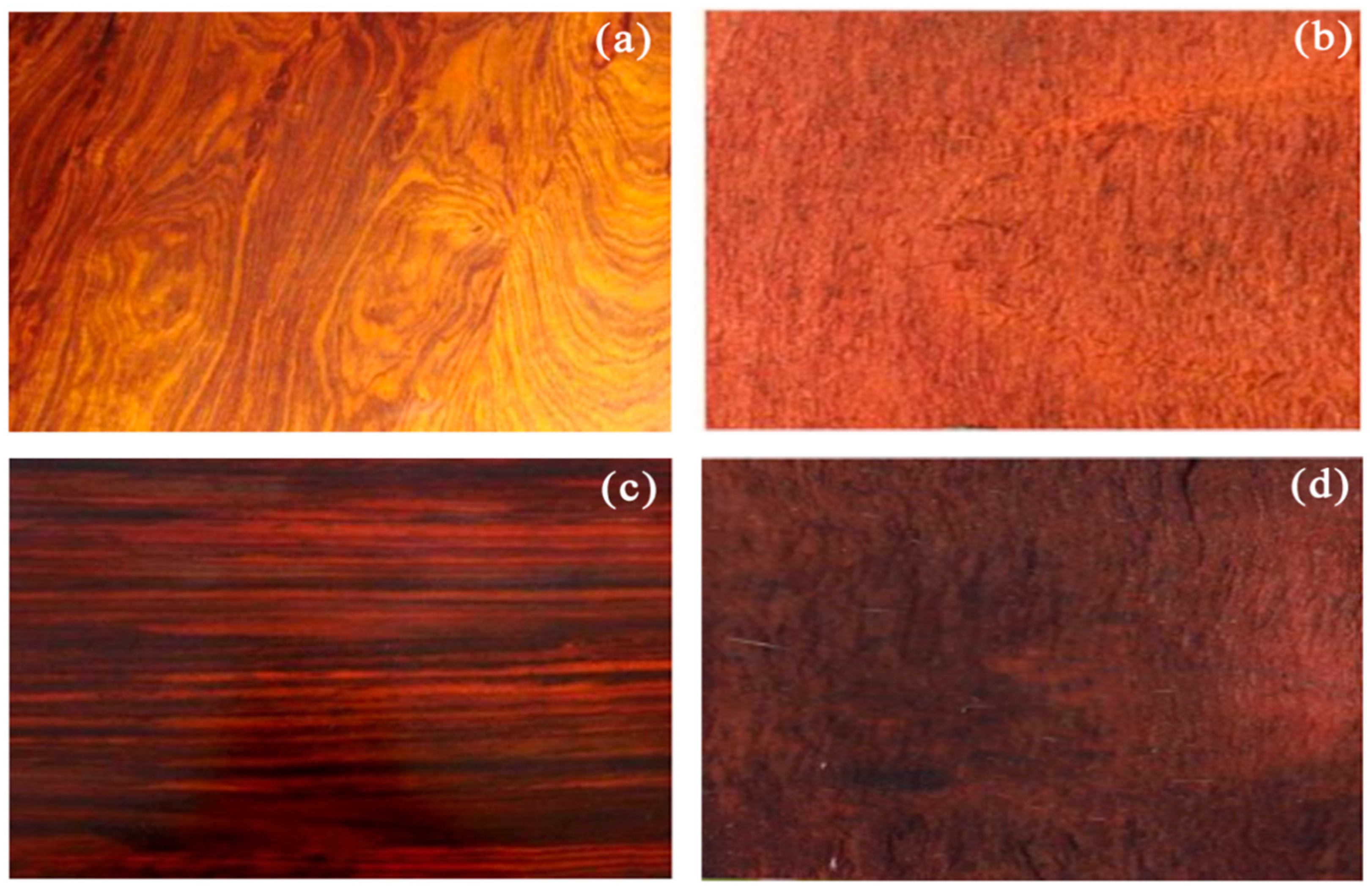 Forests 15 02120 g003