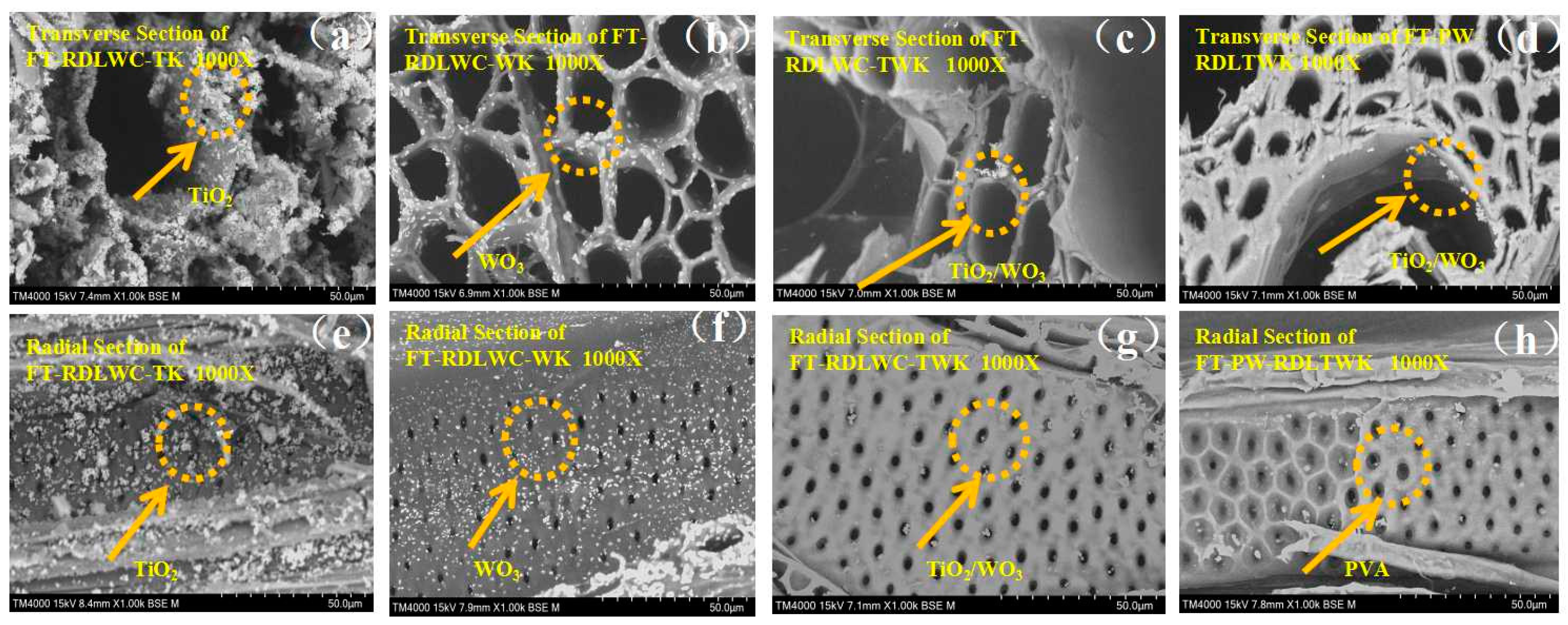 Forests 15 02120 g010
