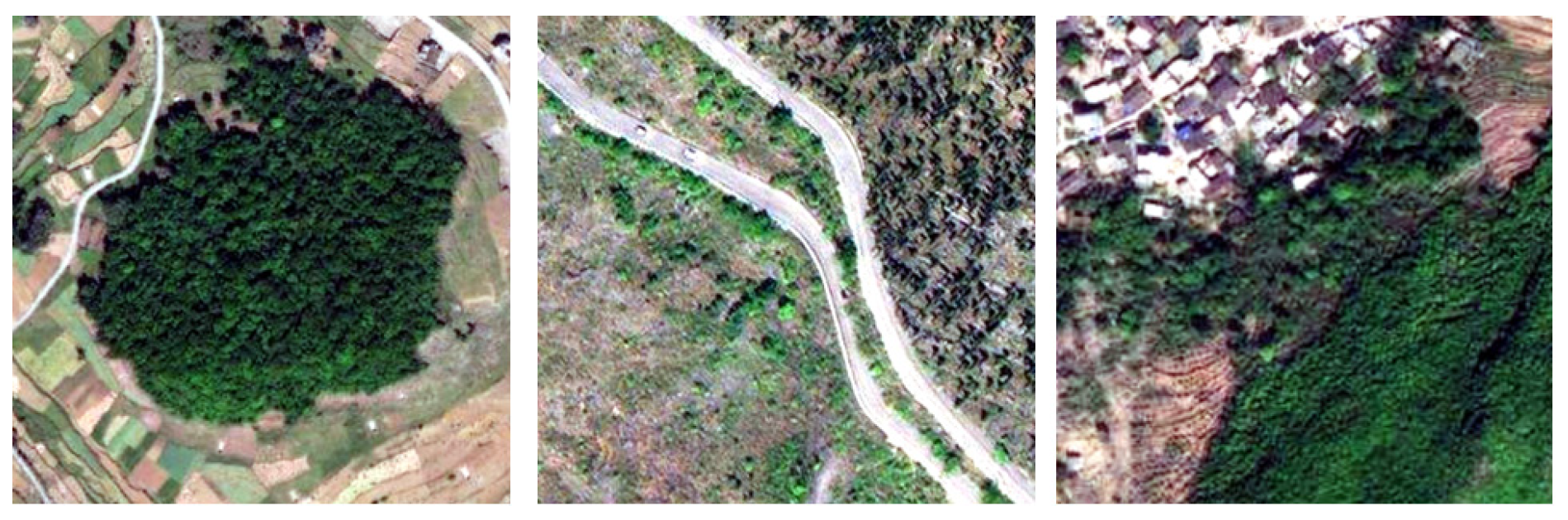 Forests 15 02122 g002