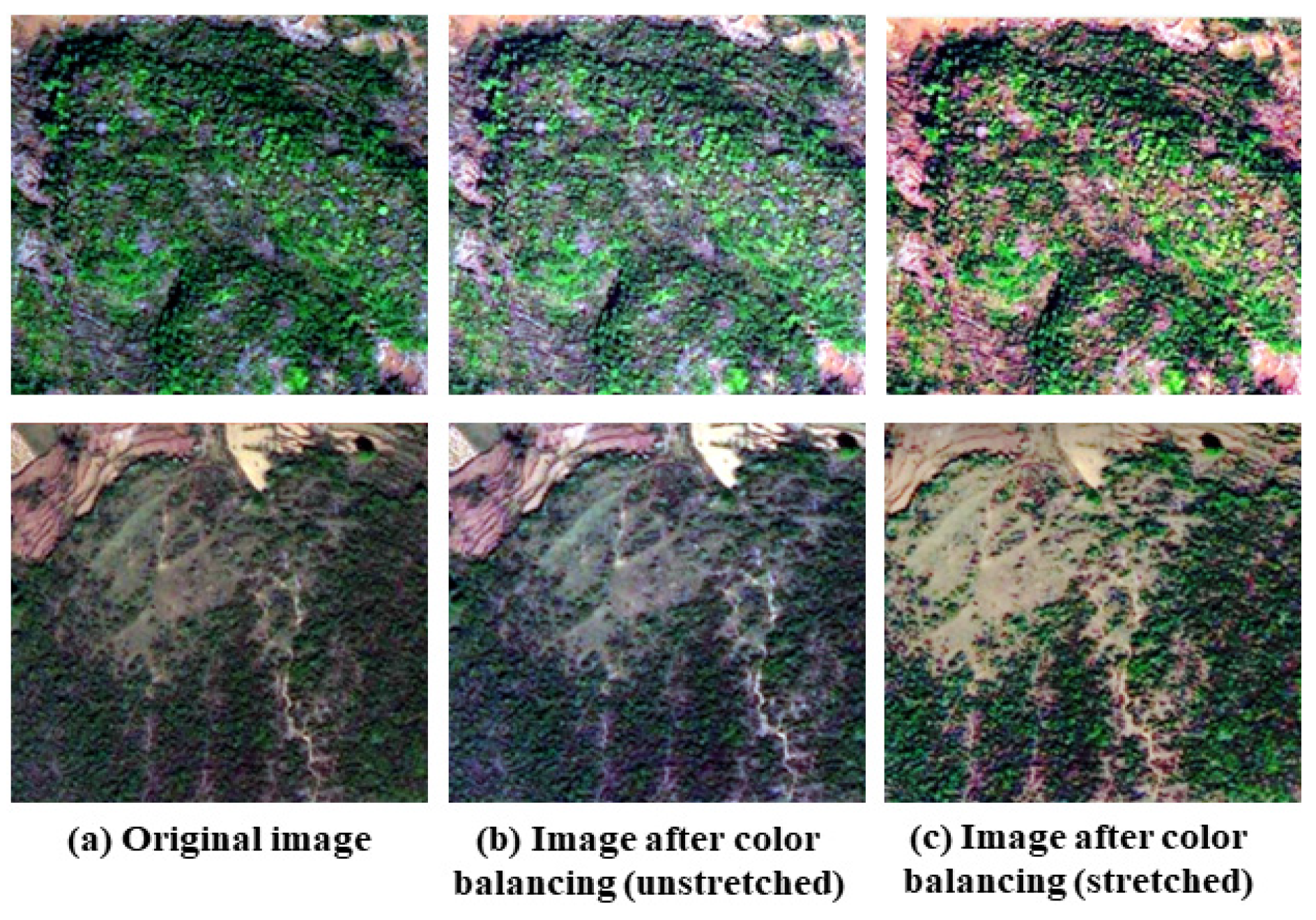 Forests 15 02122 g003