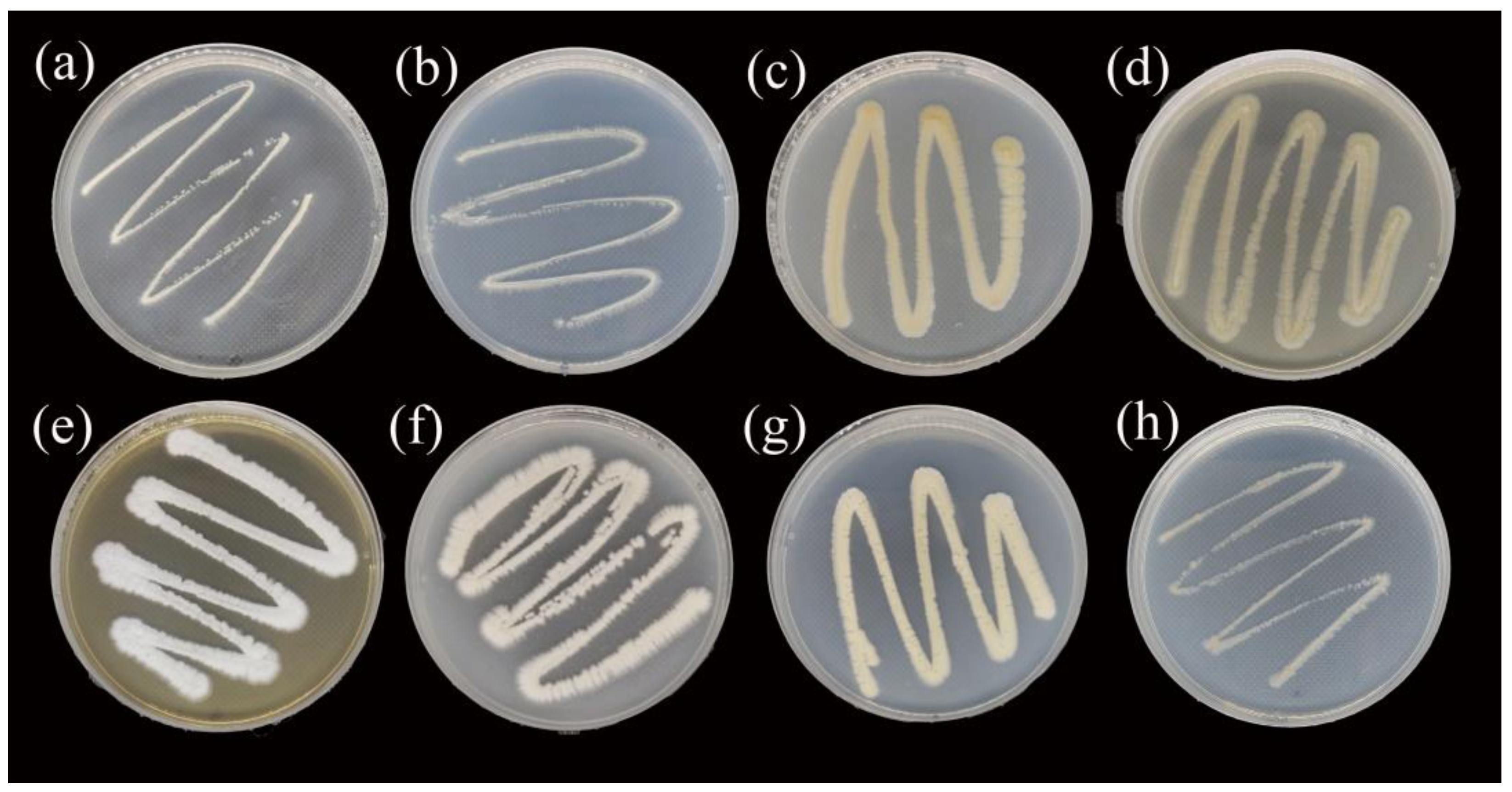 Forests 15 02124 g001