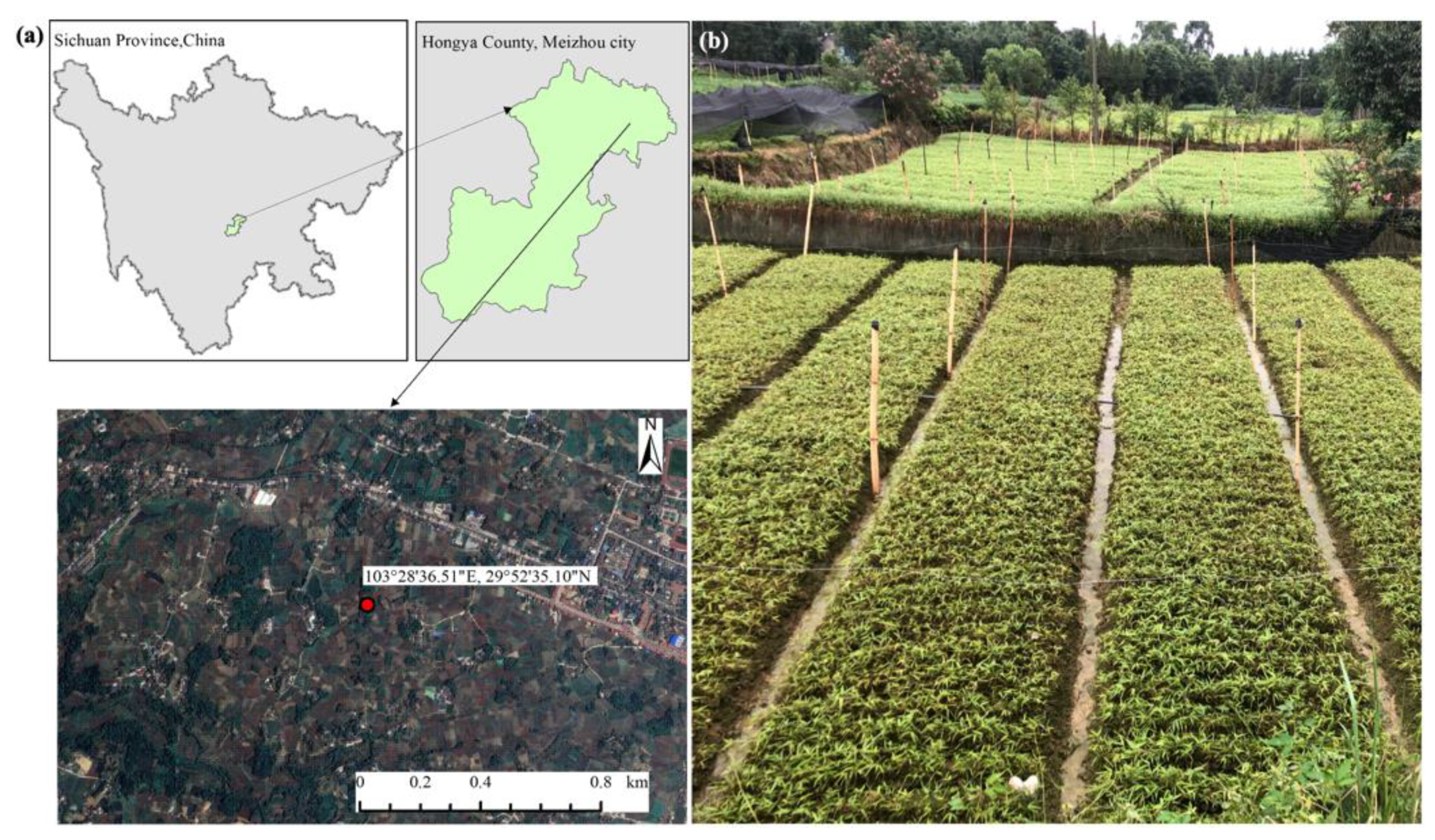 Forests 15 02132 g001