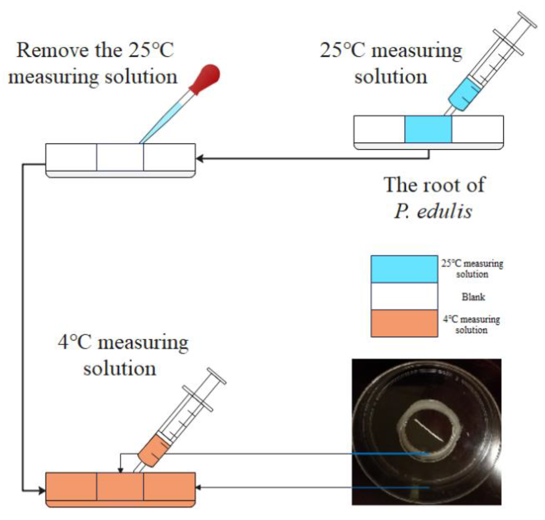Forests 15 02132 g002