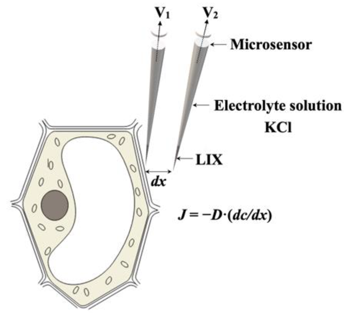 Forests 15 02132 g003