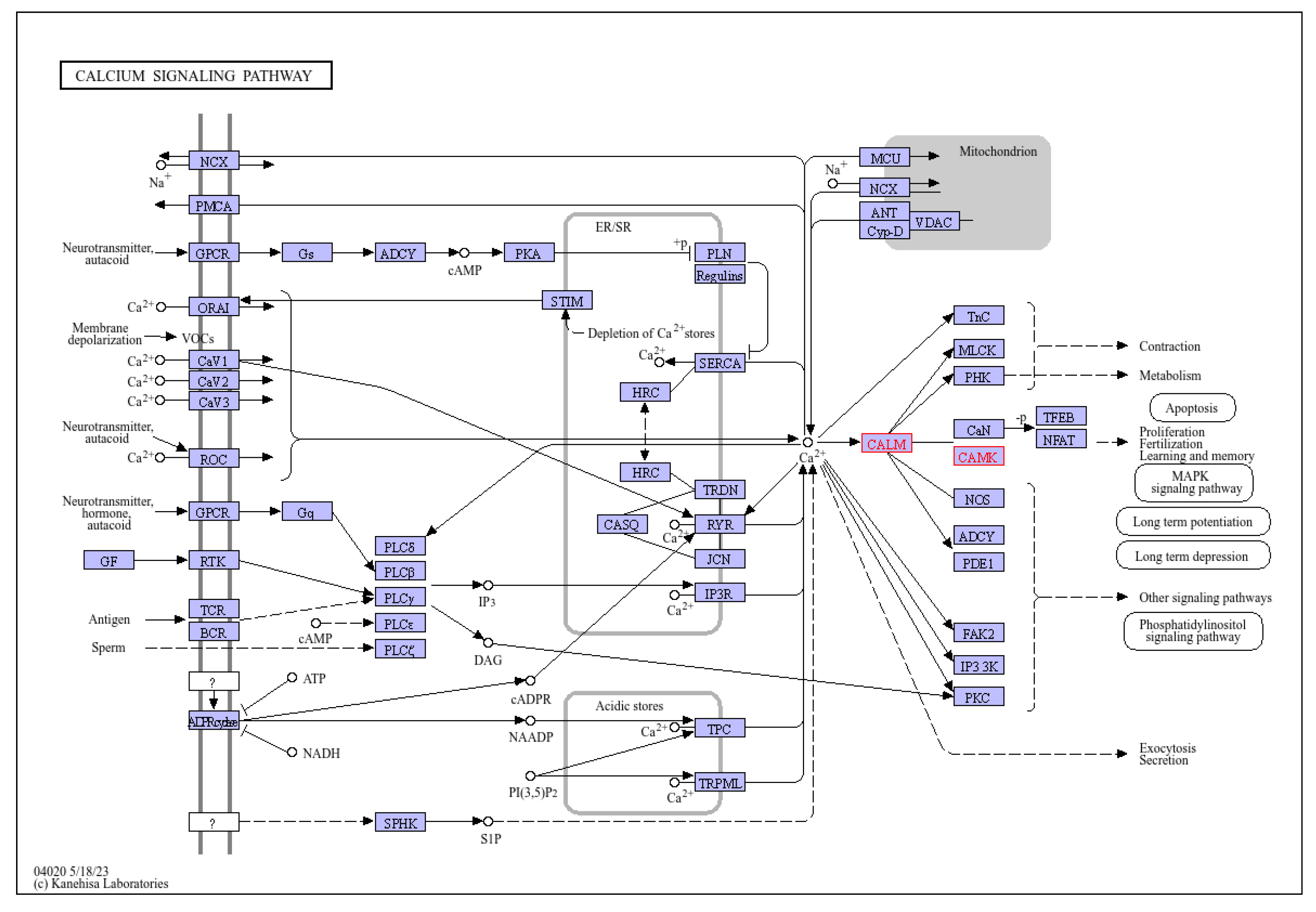 Forests 15 02132 g006