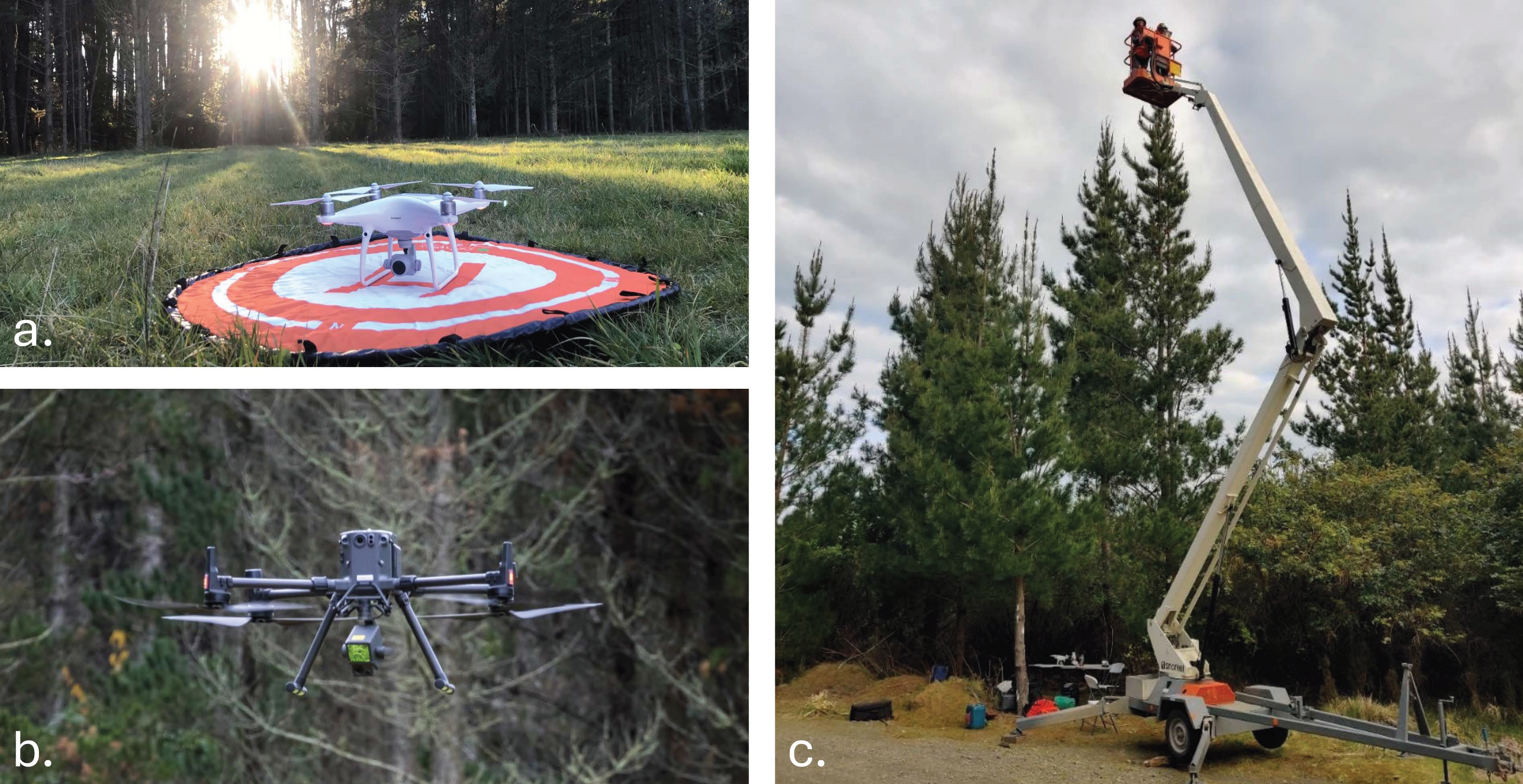 Forests 15 02135 g003