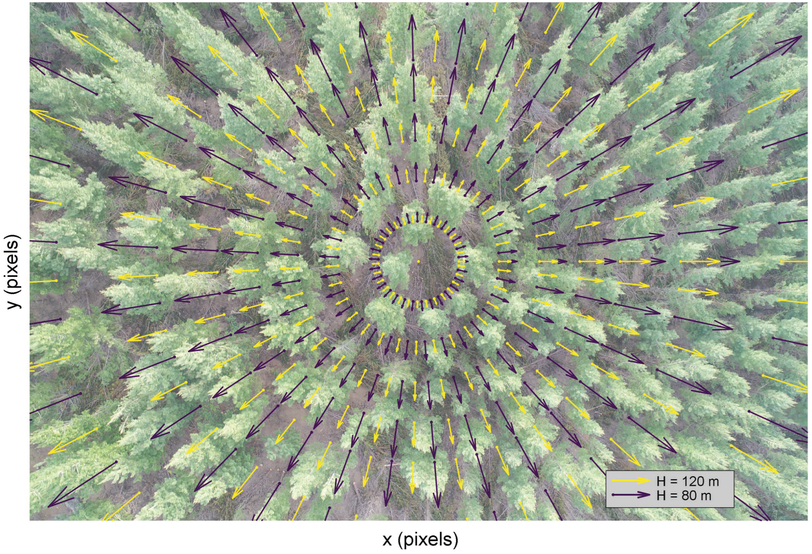 Forests 15 02135 g008