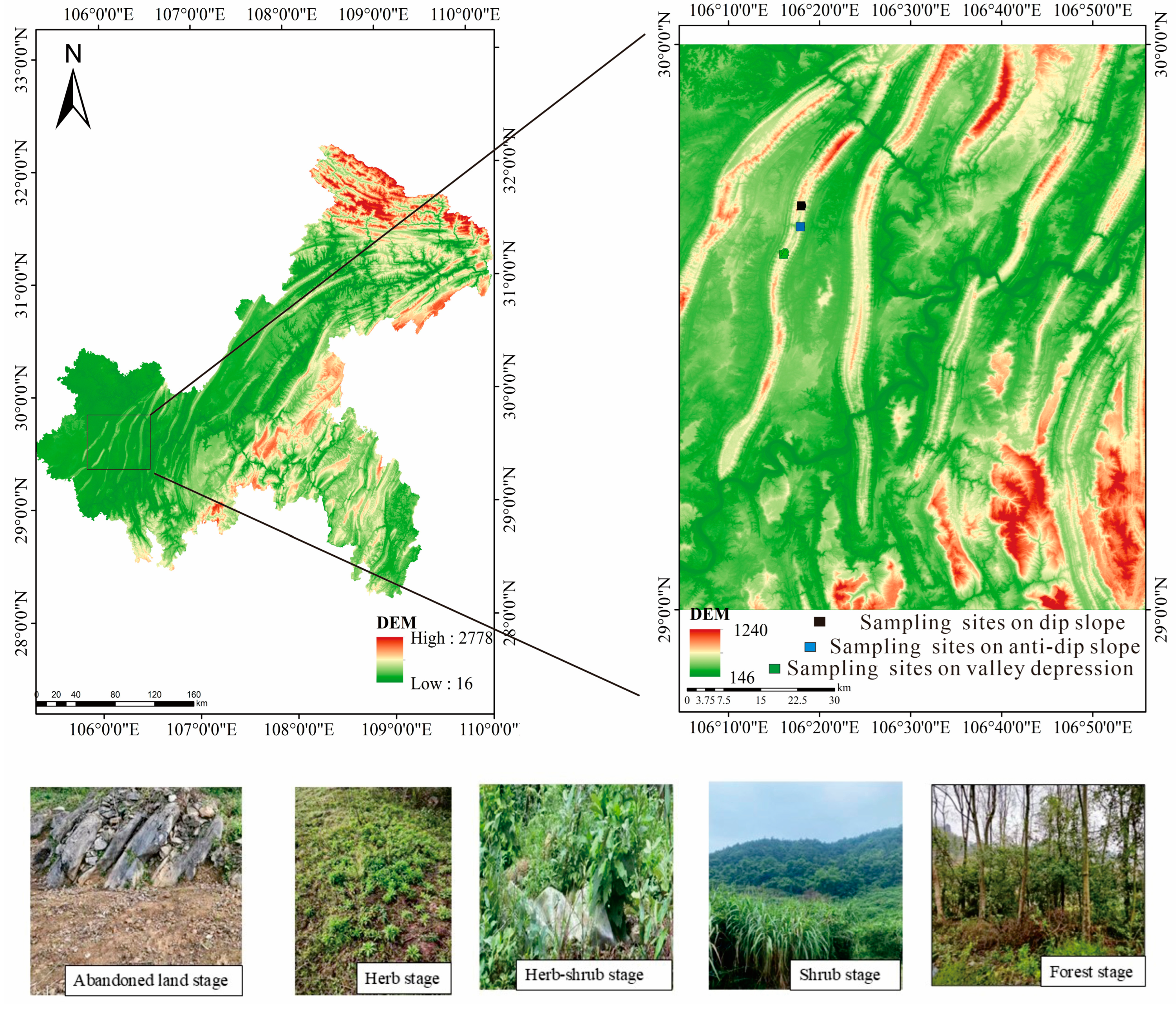 Forests 15 02167 g001