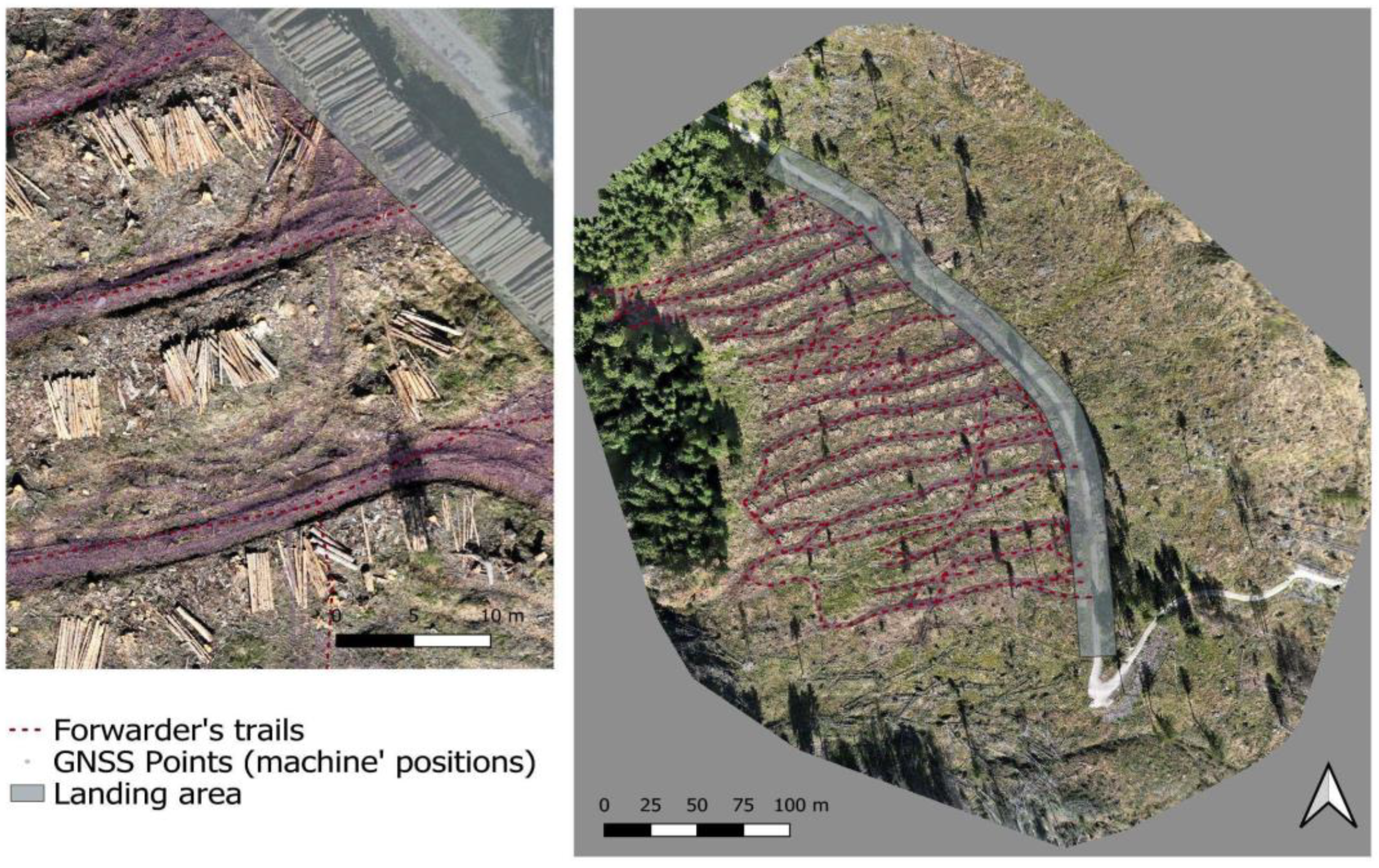 Forests 15 02169 g003