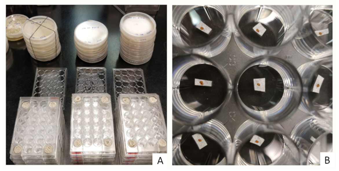 Forests 15 02170 g001