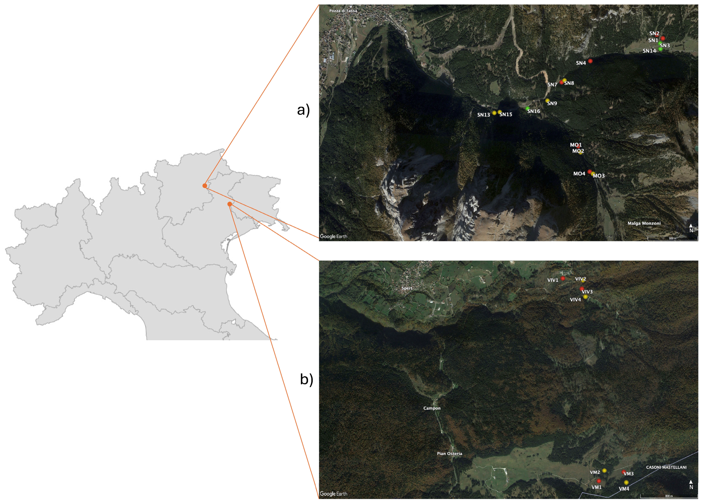 Forests 15 02176 g001