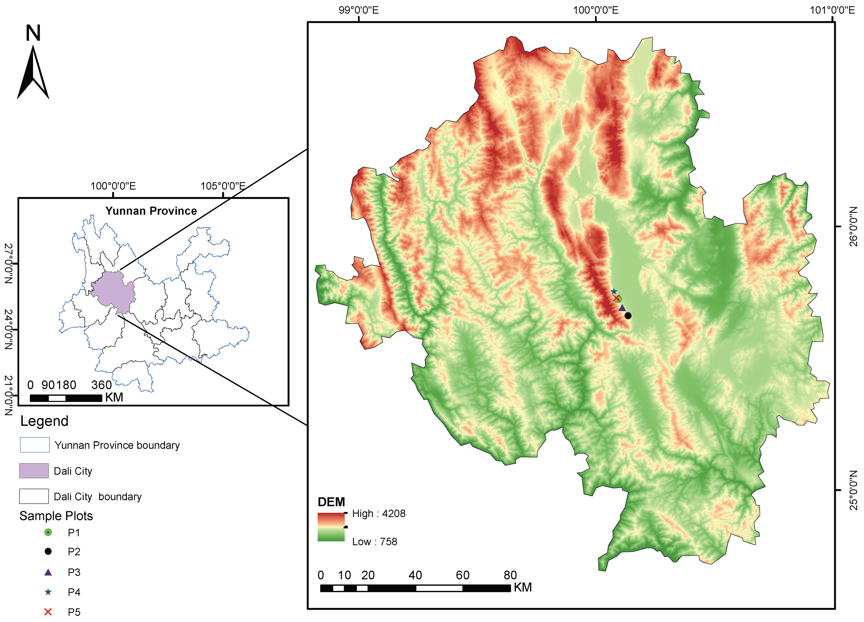 Forests 15 02181 g001
