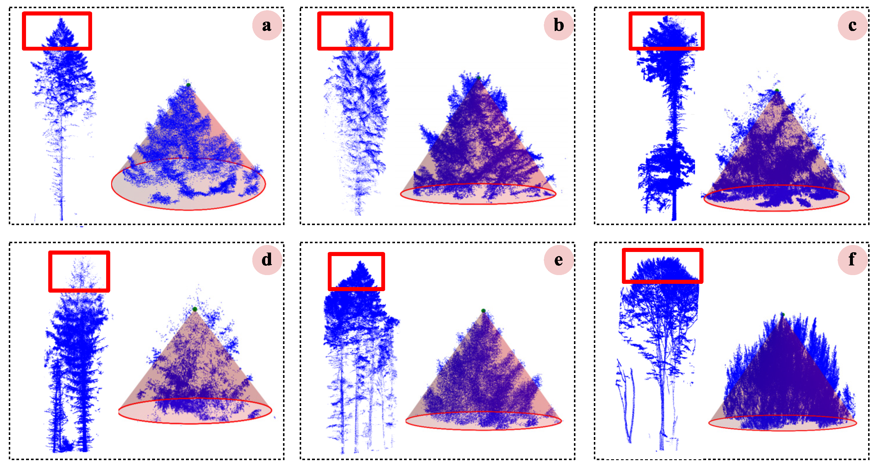 Forests 15 02185 g008