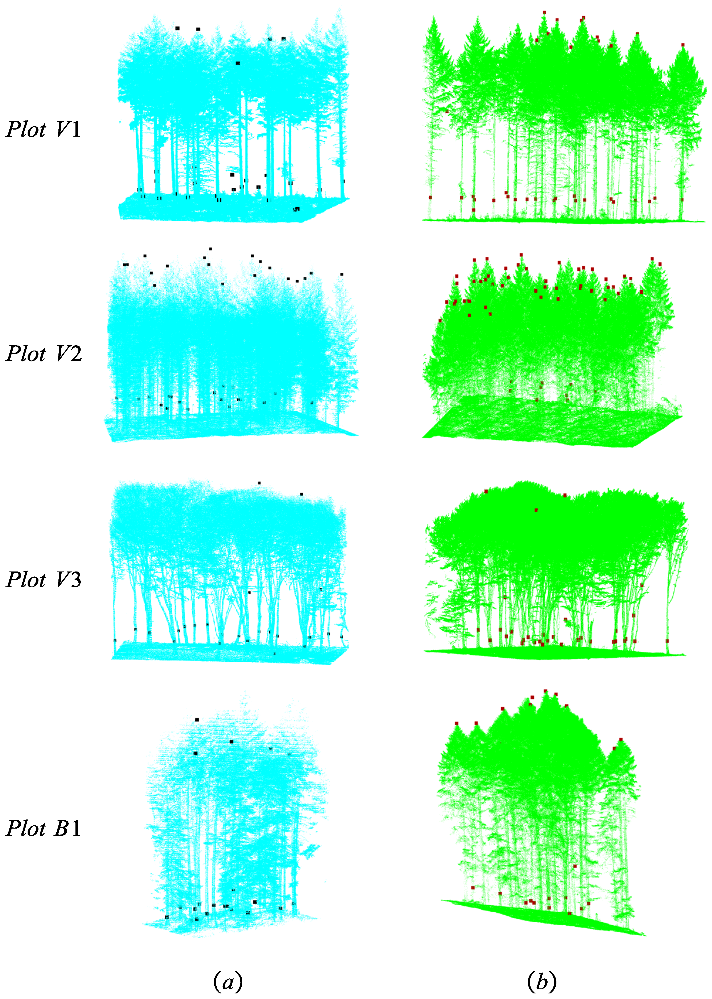 Forests 15 02185 g009
