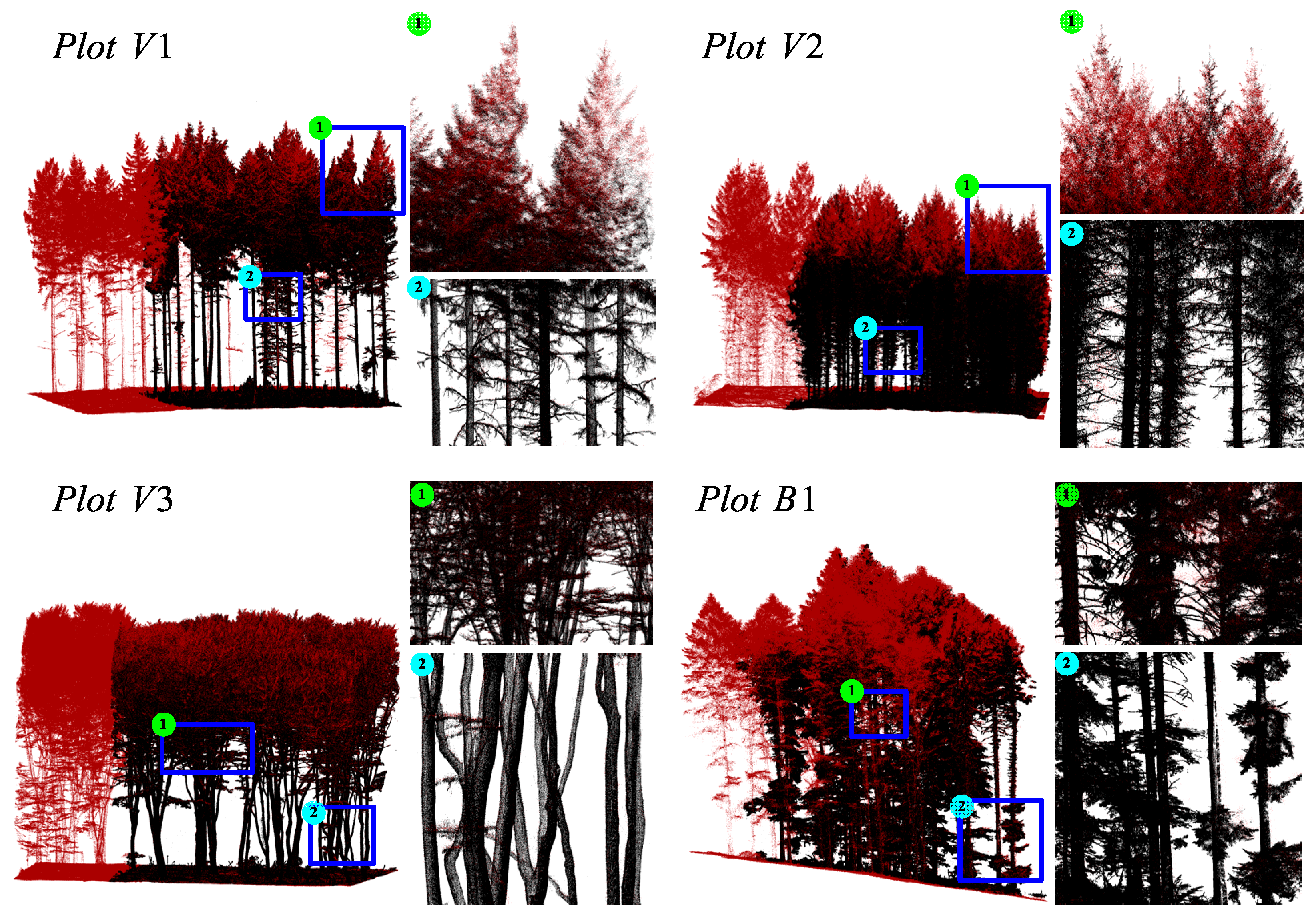 Forests 15 02185 g011