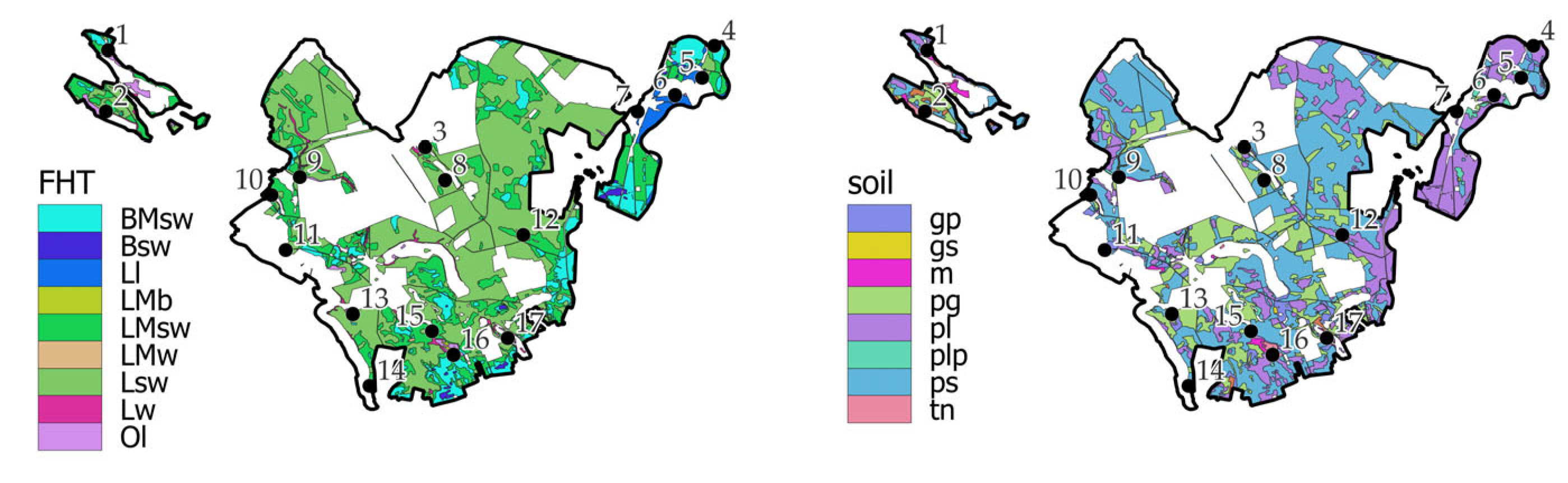 Forests 15 02191 g005