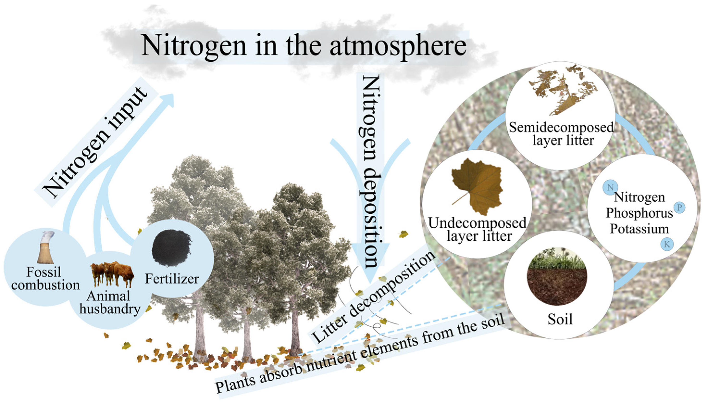 Forests 15 02193 g001