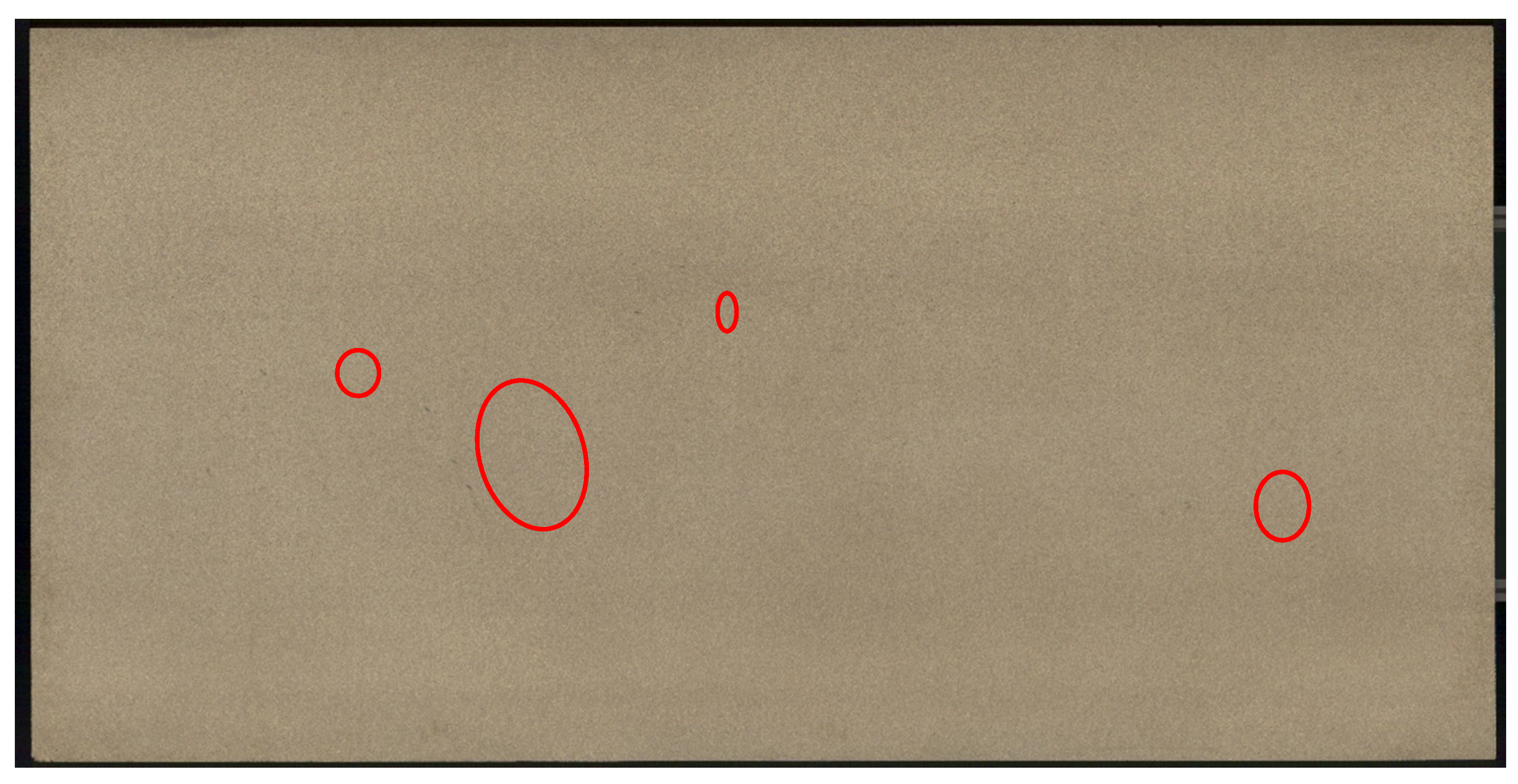 Forests 15 02196 g002