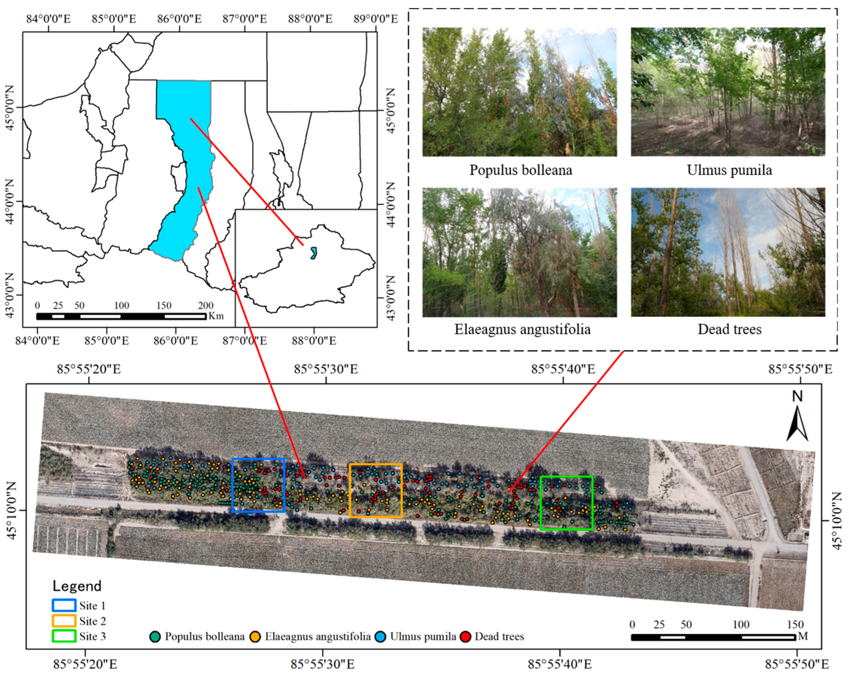 Forests 15 02200 g001