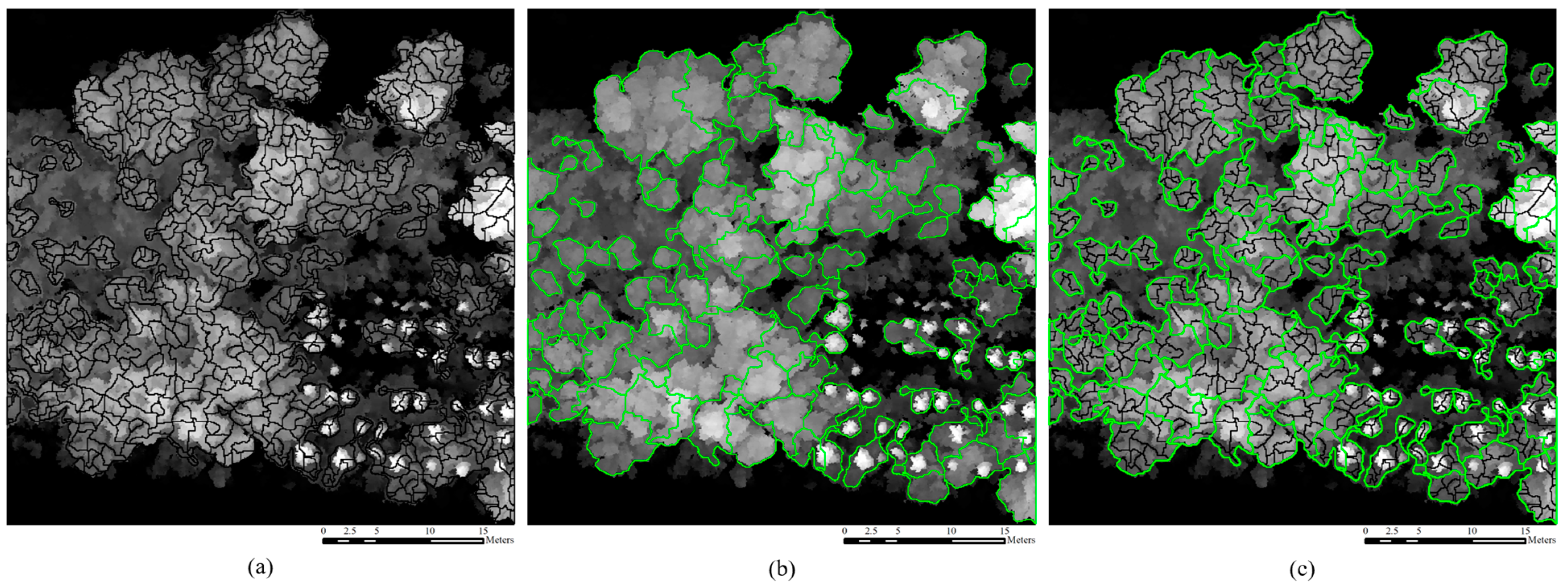 Forests 15 02200 g004