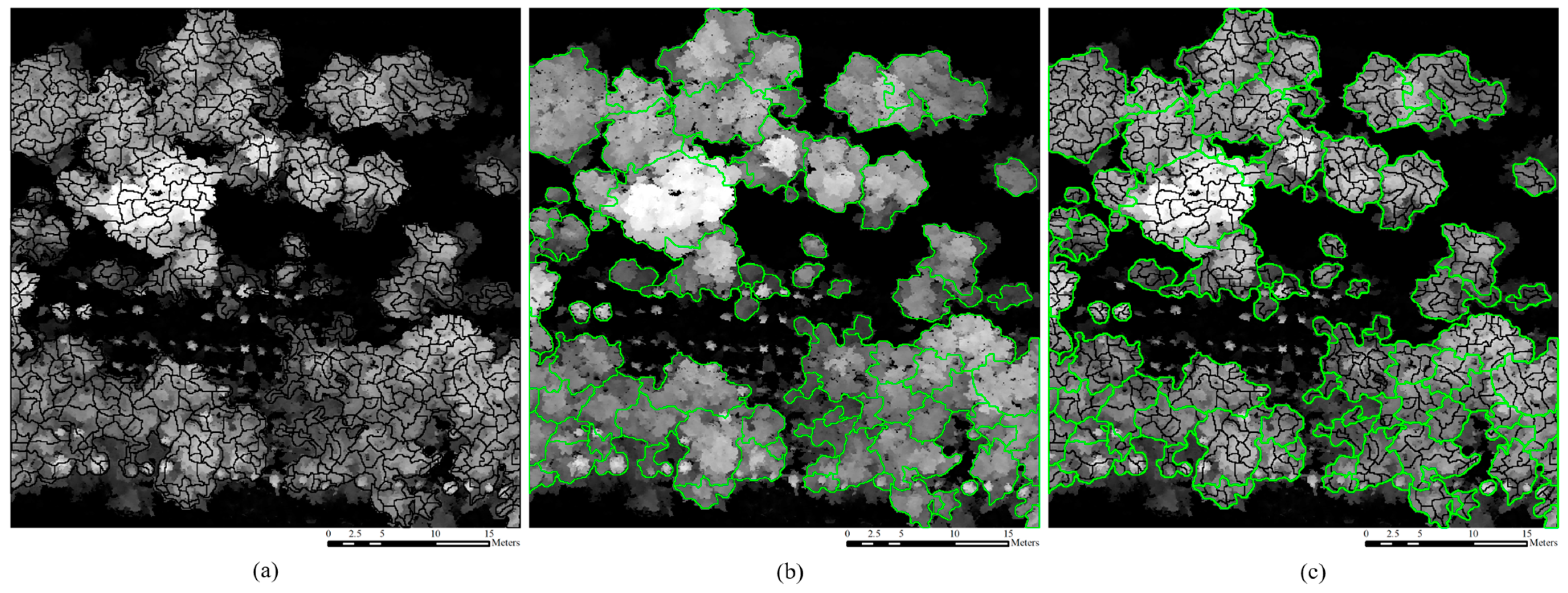 Forests 15 02200 g005