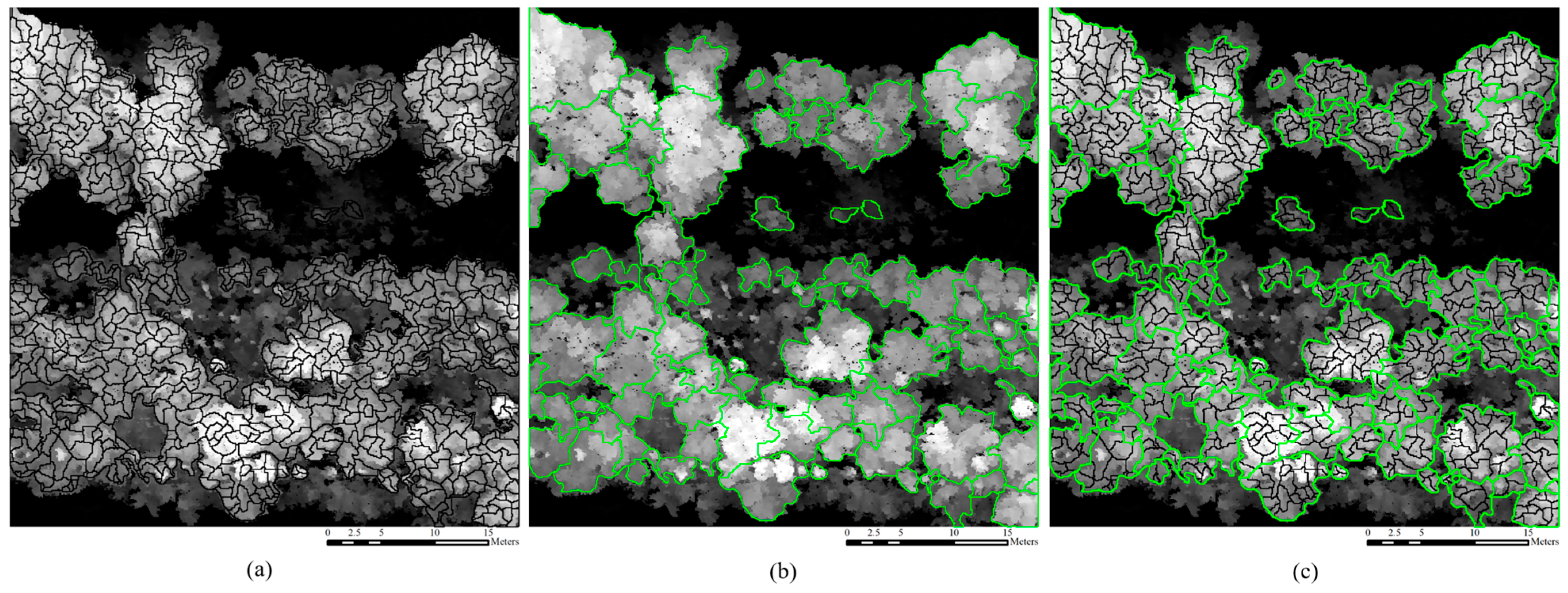 Forests 15 02200 g006