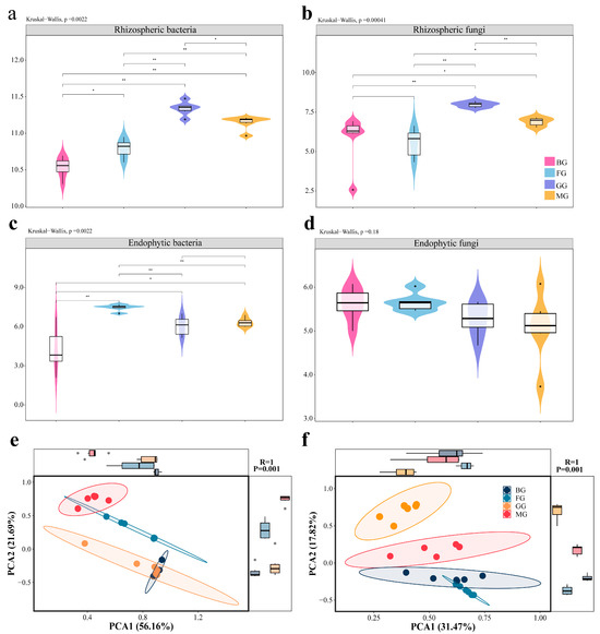Intercropping Shapes the Metabolome and Microbiome of Medicinal