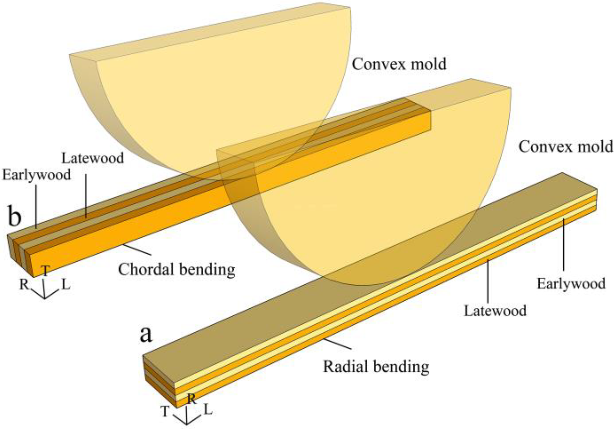 Forests 15 02203 g001