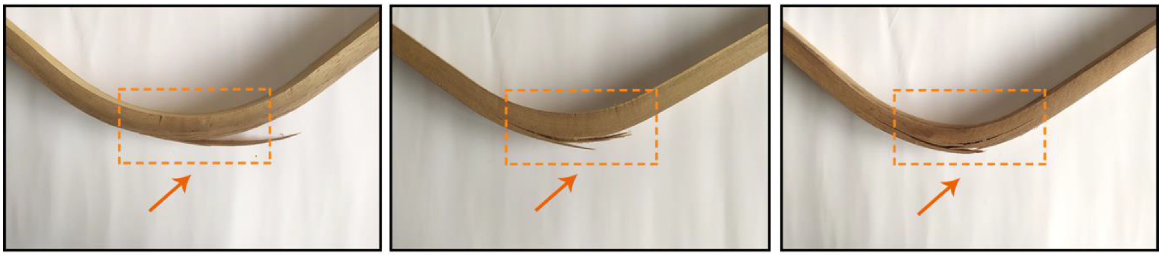 Forests 15 02203 g004