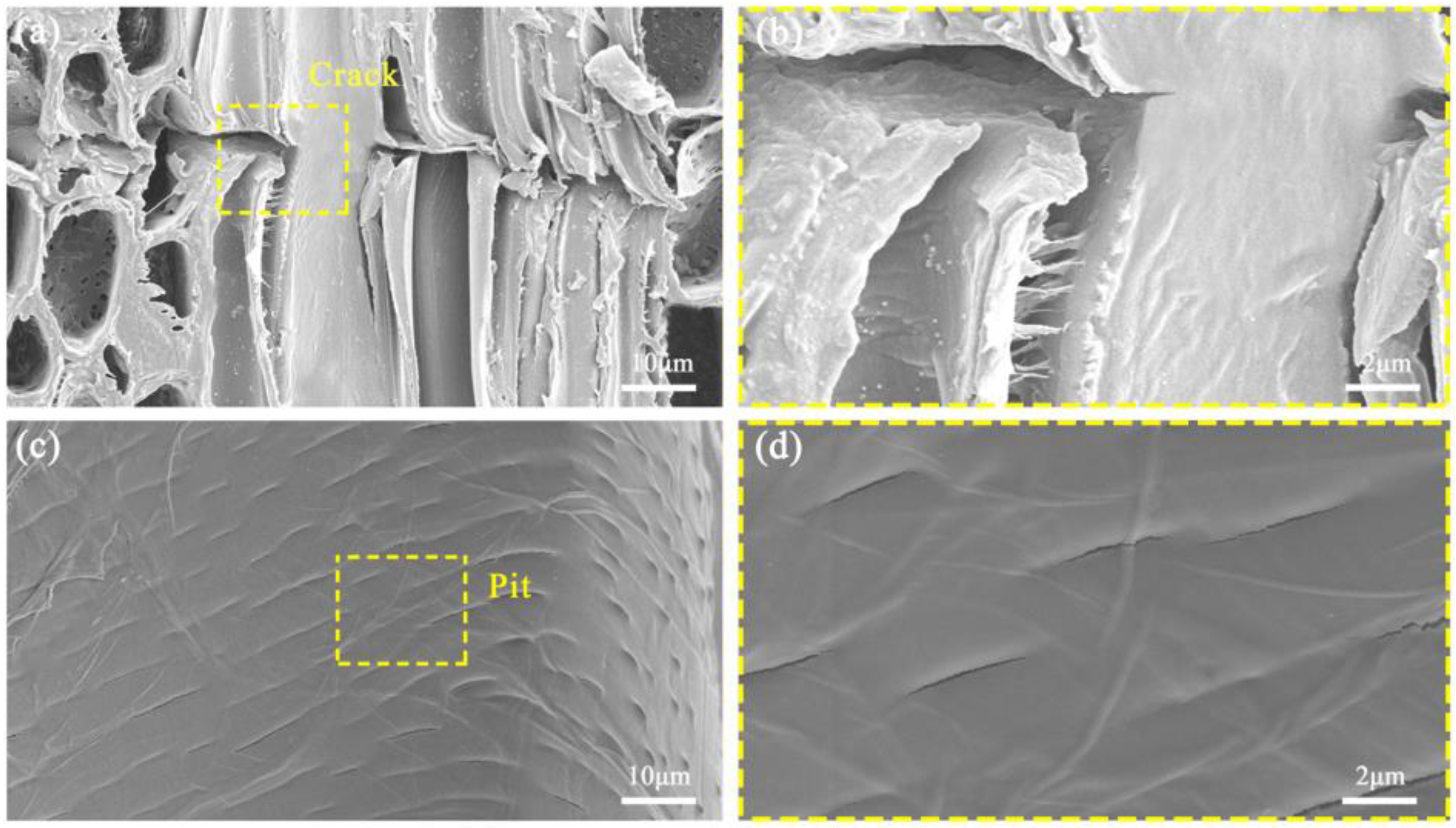 Forests 15 02203 g010