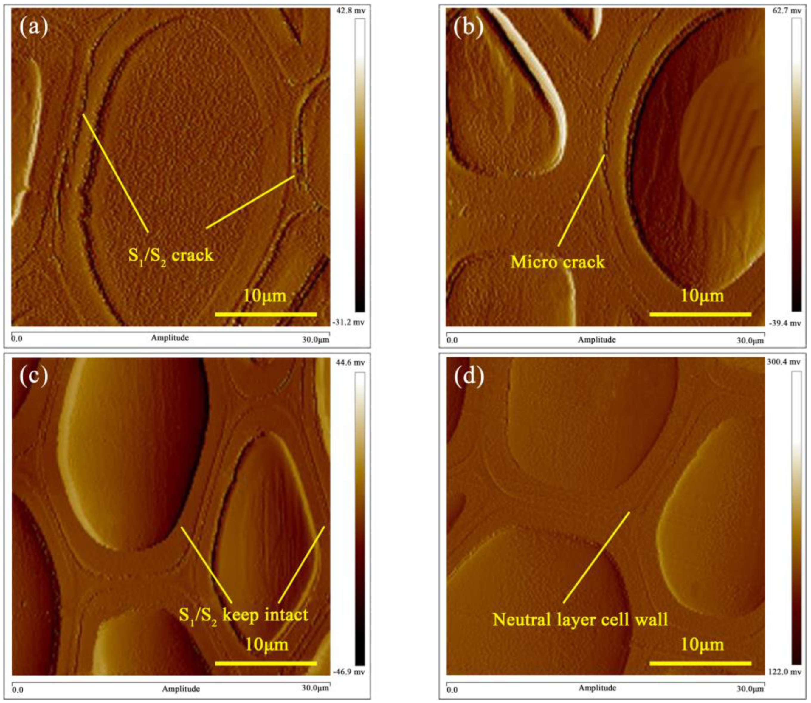 Forests 15 02203 g011