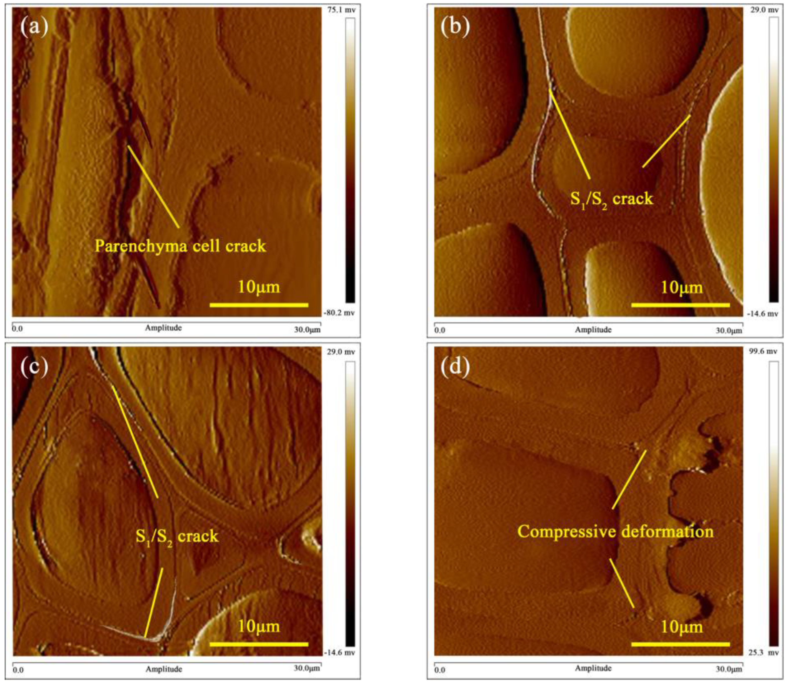 Forests 15 02203 g012