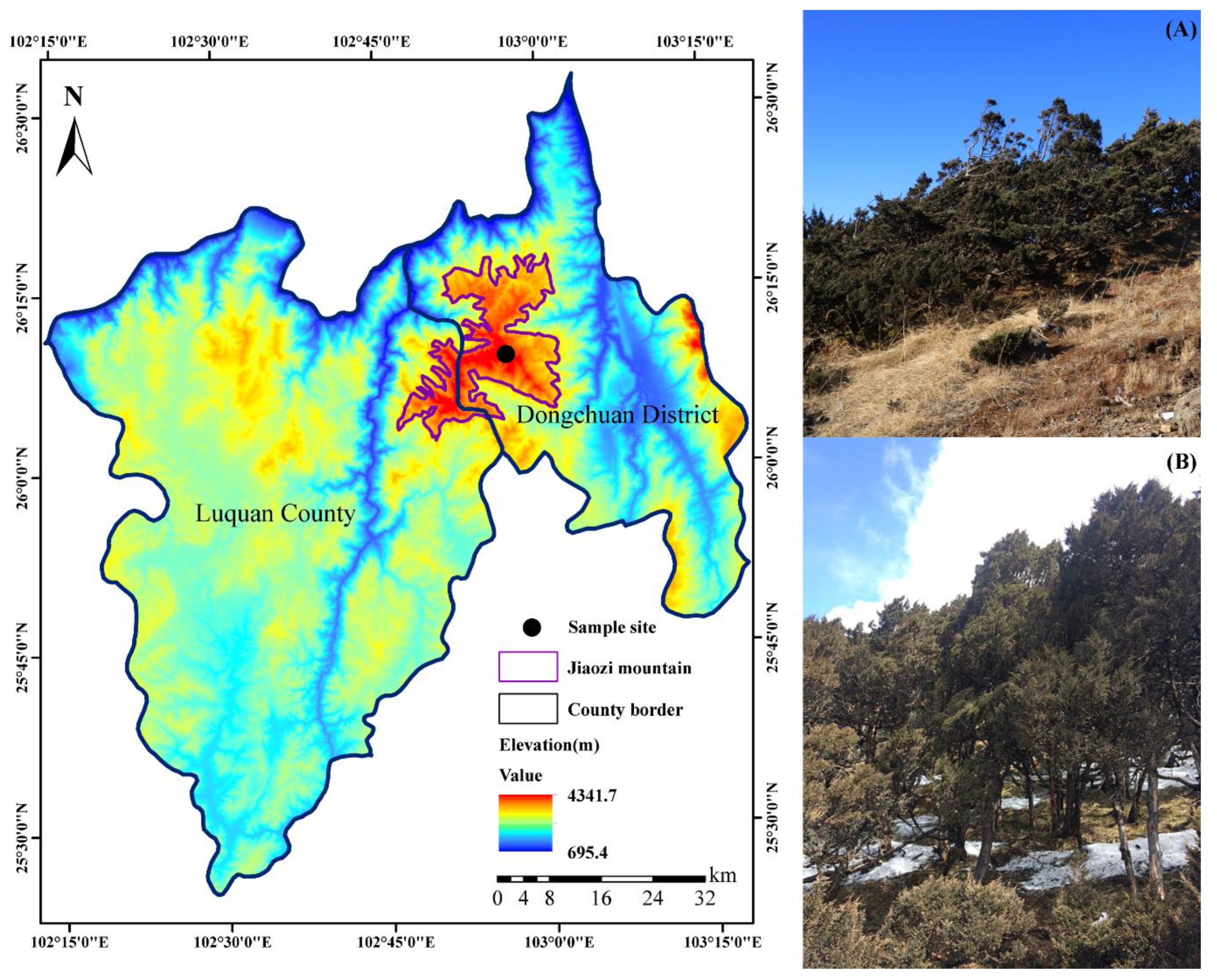 Forests 15 02206 g001