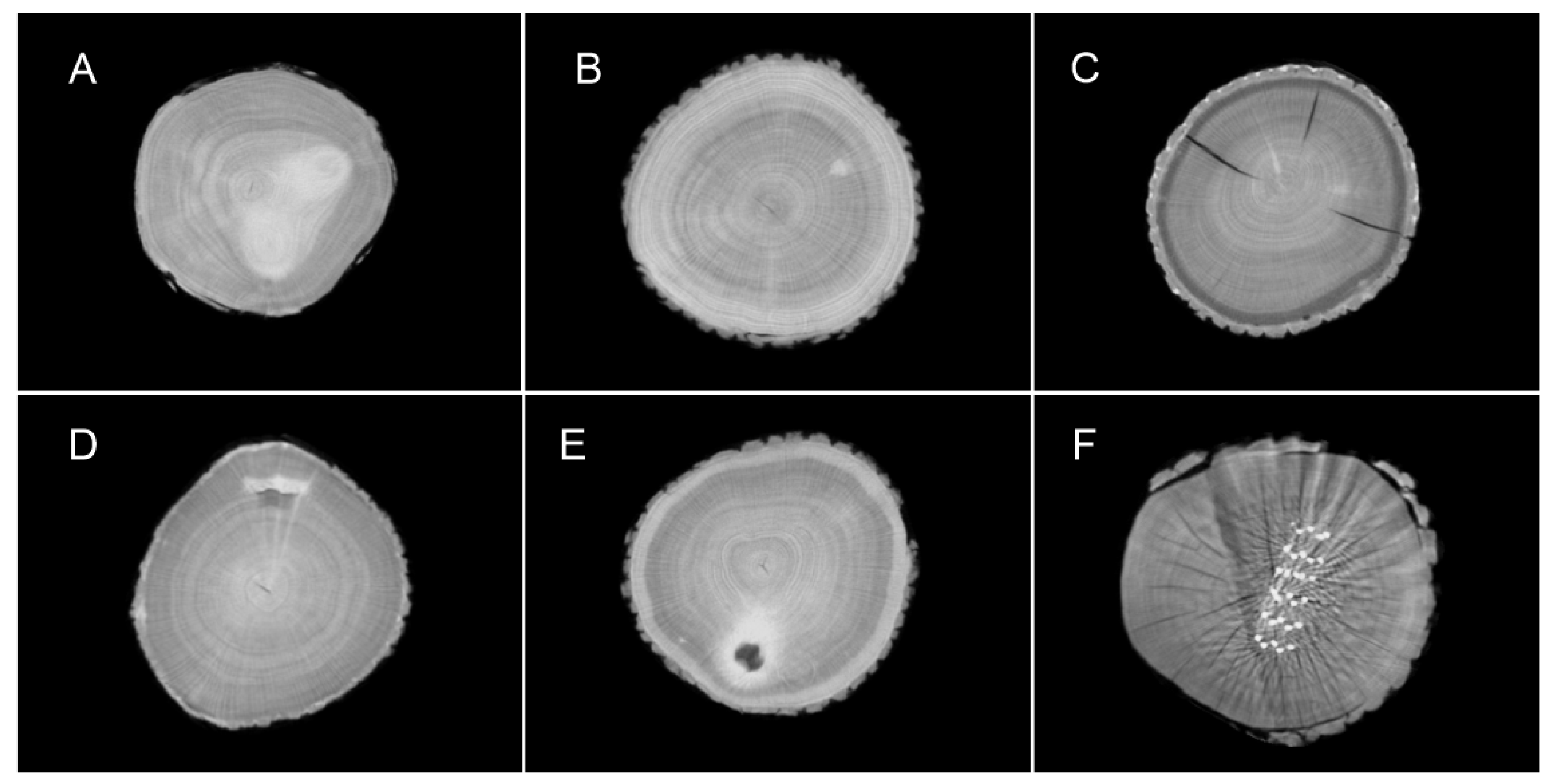 Forests 15 02207 g003