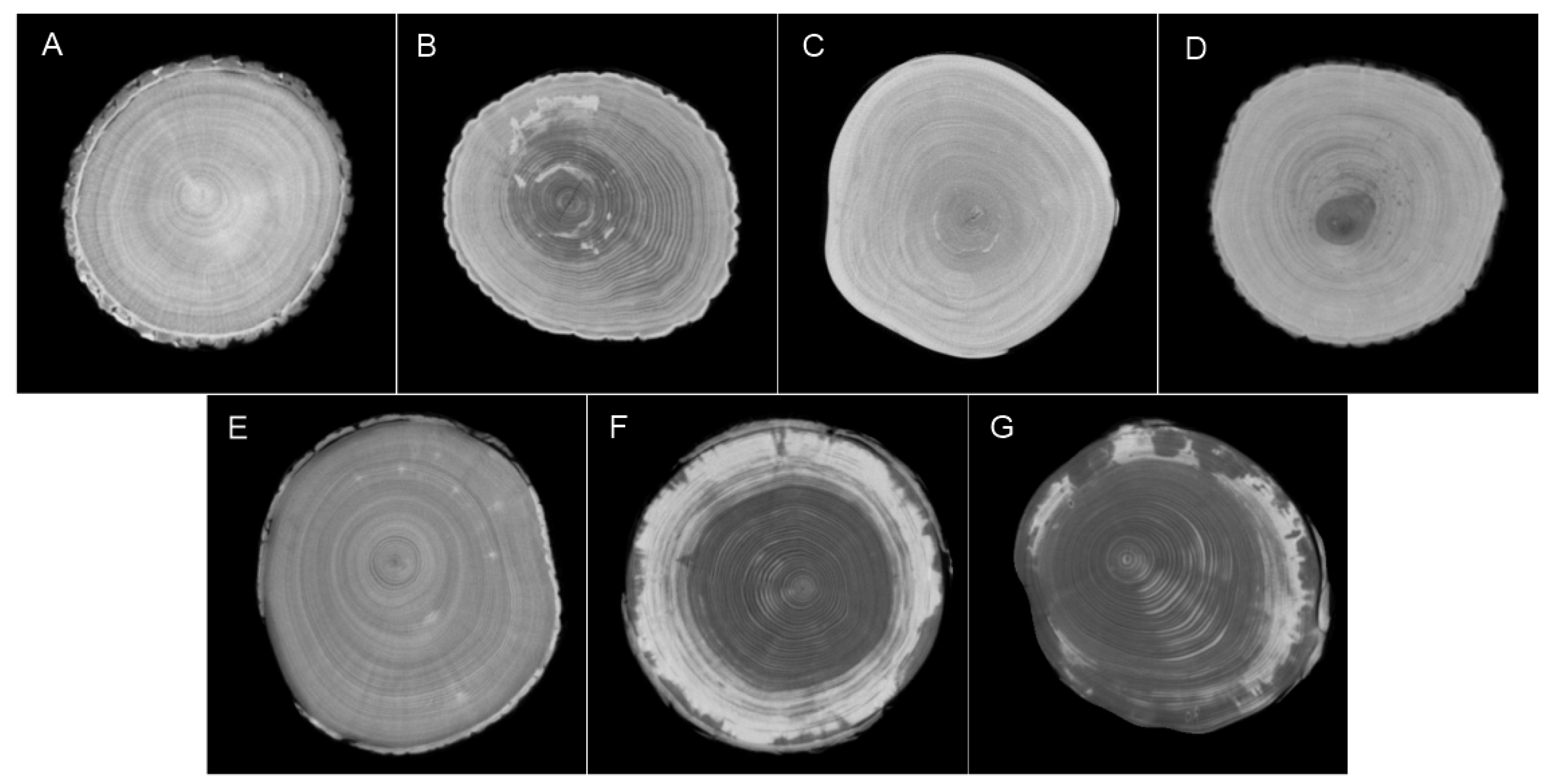 Forests 15 02207 g005