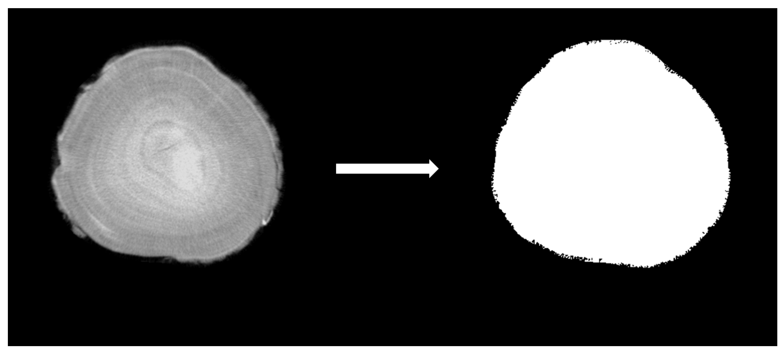 Forests 15 02207 g006