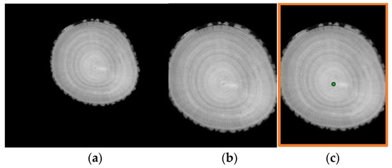 Automatic Wood Species Classification and Pith Detection in Log CT