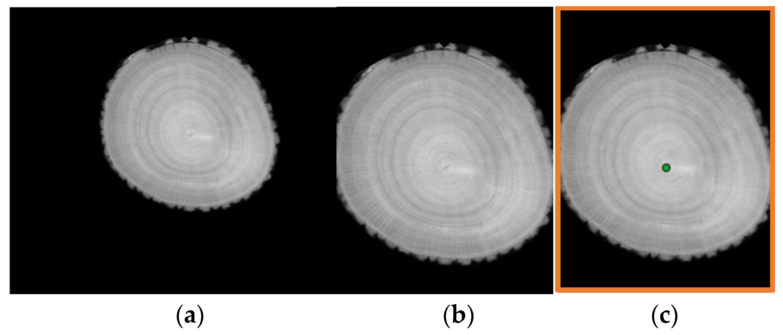 Forests 15 02207 g007